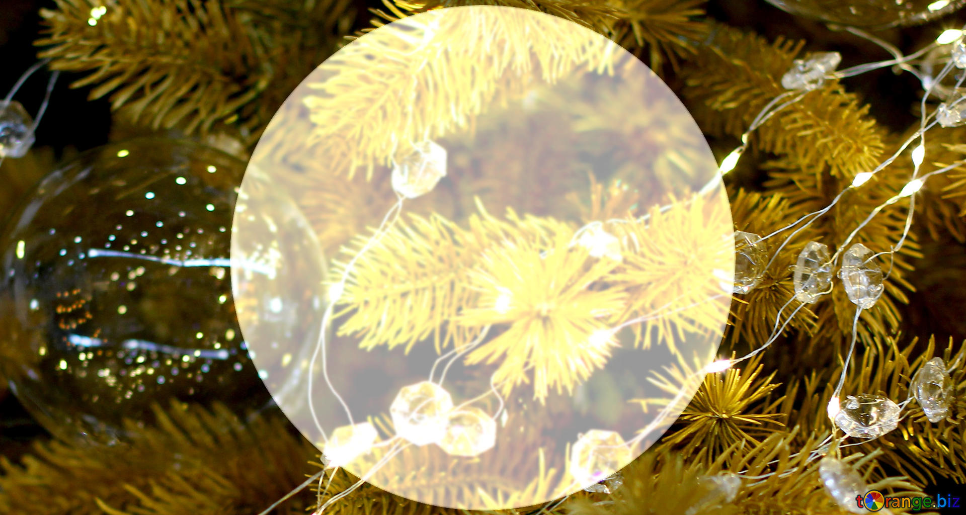 Download Free Picture On CC BY License Free Image Stock TOrange.biz Fx №144812