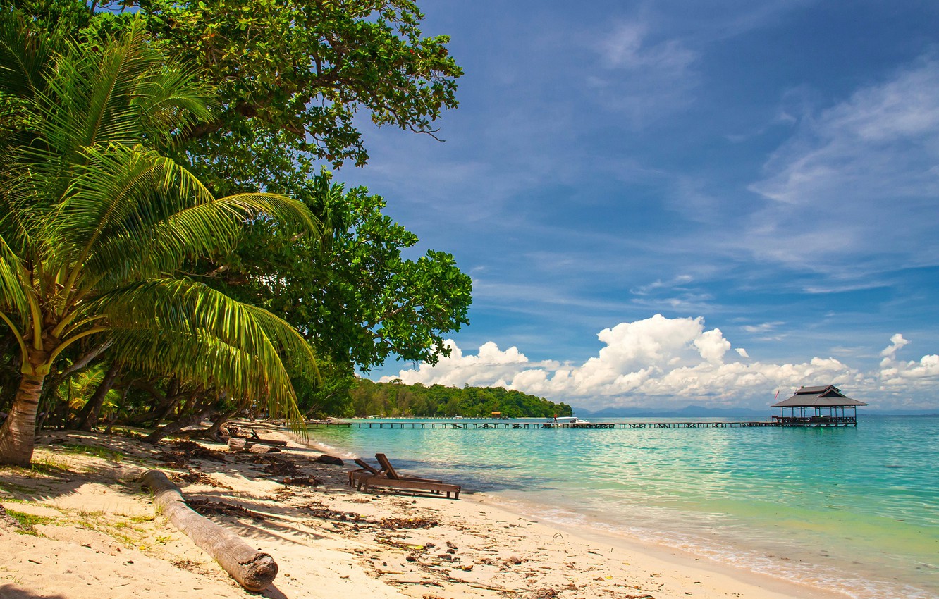 Wallpaper sand, sea, greens, beach, the sky, the sun, clouds, trees, tropics, palm trees, coast, horizon, pierce, sunbeds, Malaysia, Kalimantan image for desktop, section пейзажи