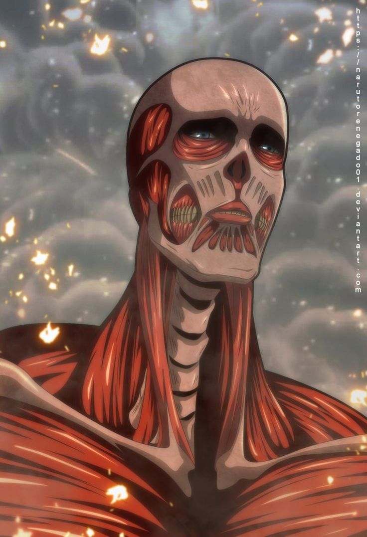 Armin Arlert as the Colossal Titan. Attack on titan anime, Attack on titan, Armin titan form