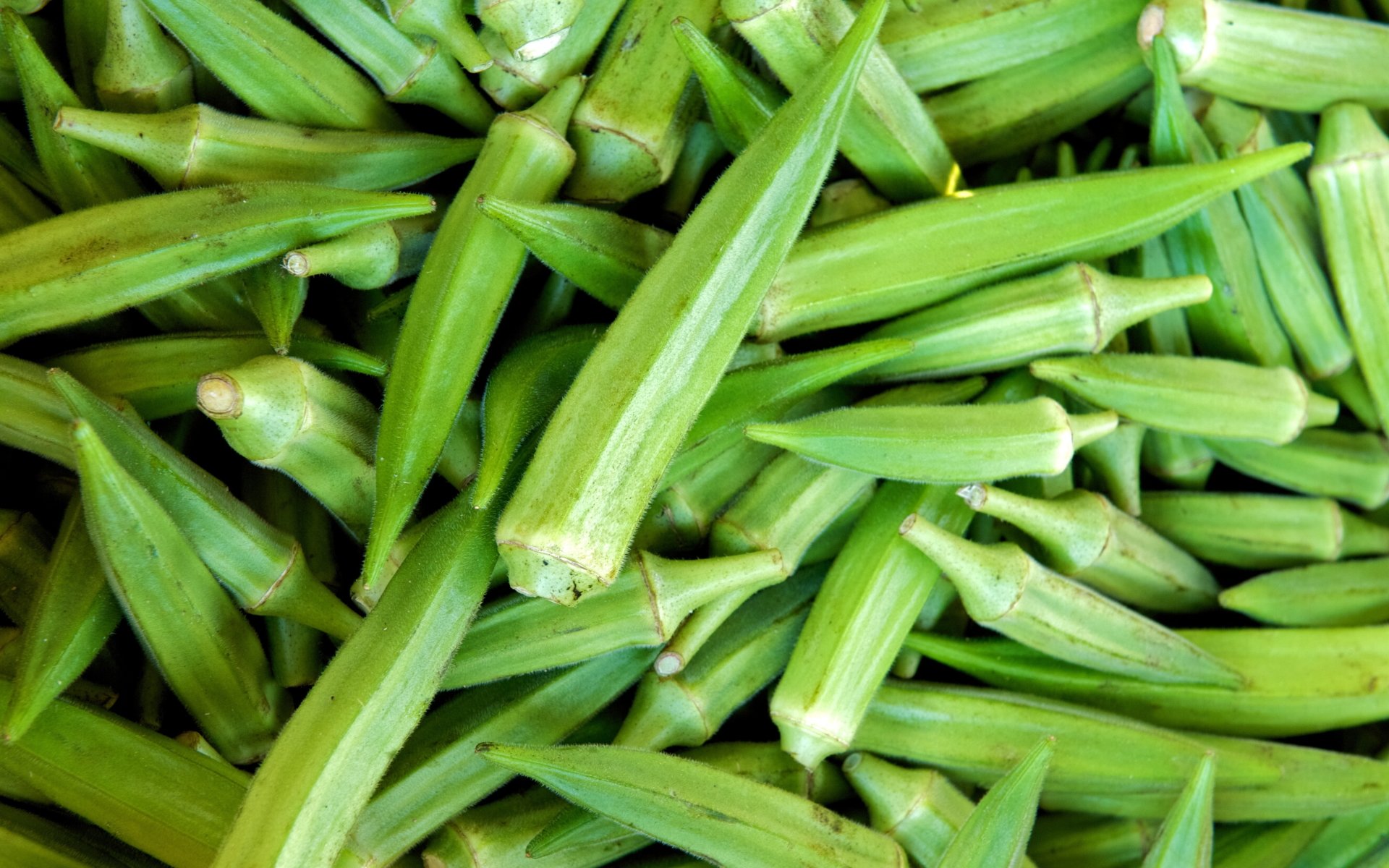 4K Ultra HD Okra Wallpaper and Background Image