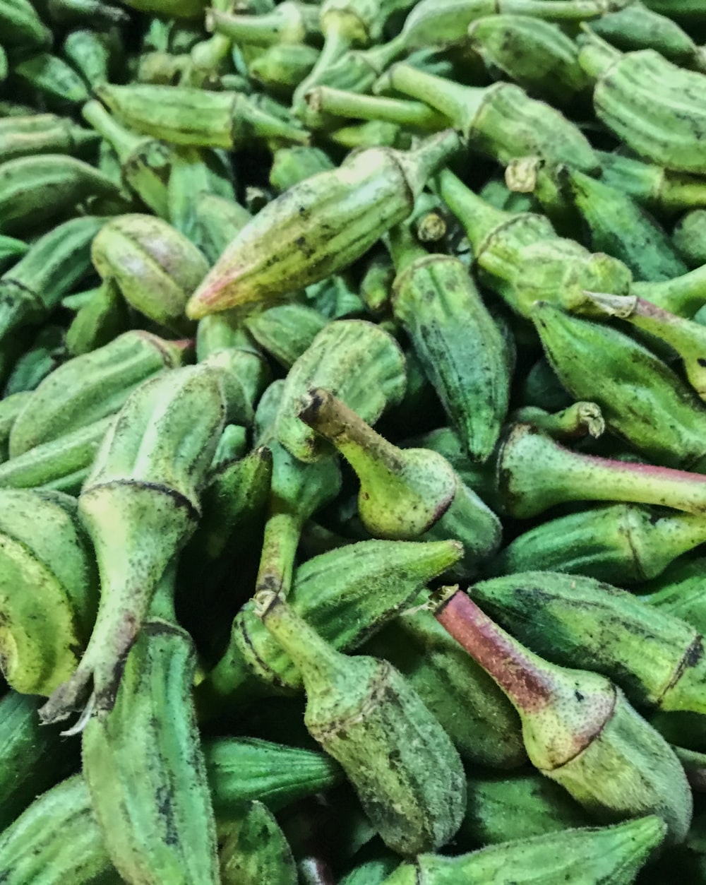 30,Okra Picture. Download Free Image