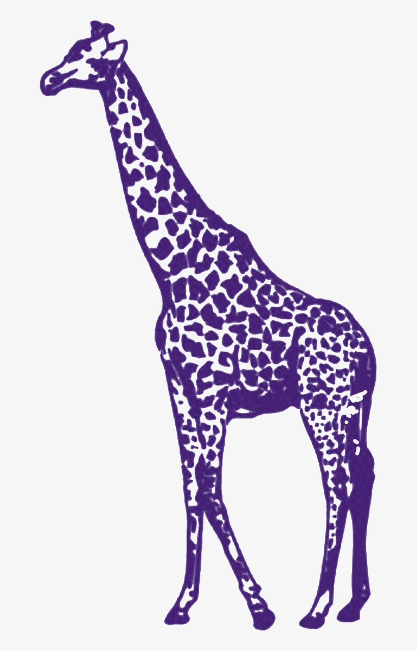 Purple Giraffe Giraffe Png Transparent PNG Download
