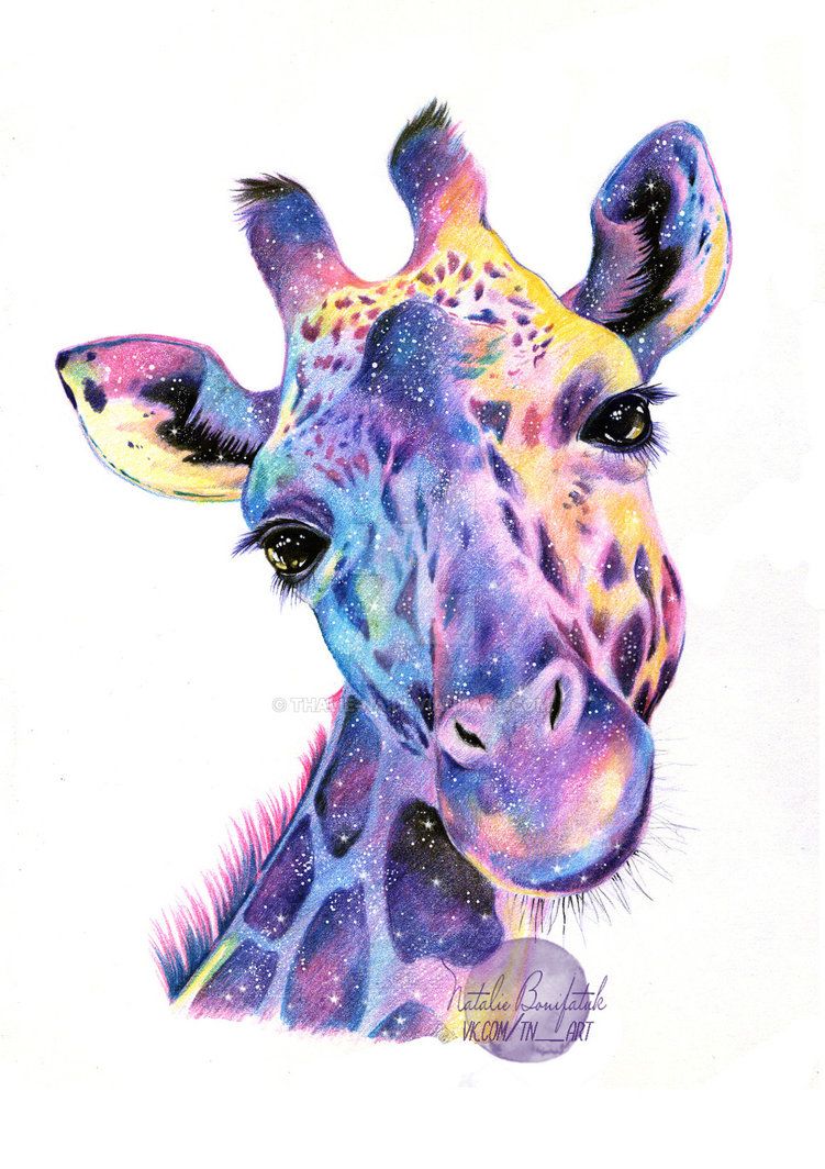 Galaxy Giraffe By Thalie Na. Giraffe Art, Animal Paintings, Animal Art