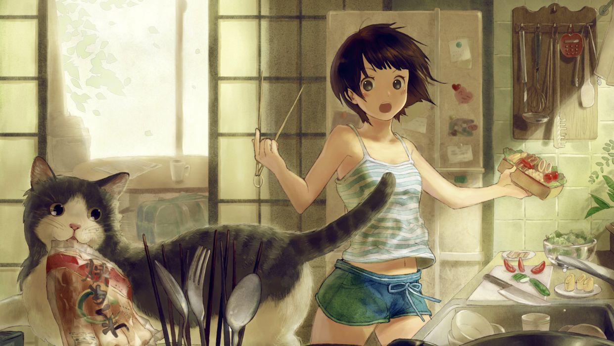 Cats drawings anime girls original characters wallpaperx1083