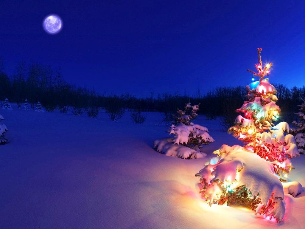 Christmas Desktop Background, Beautiful Tree Wallpaper
