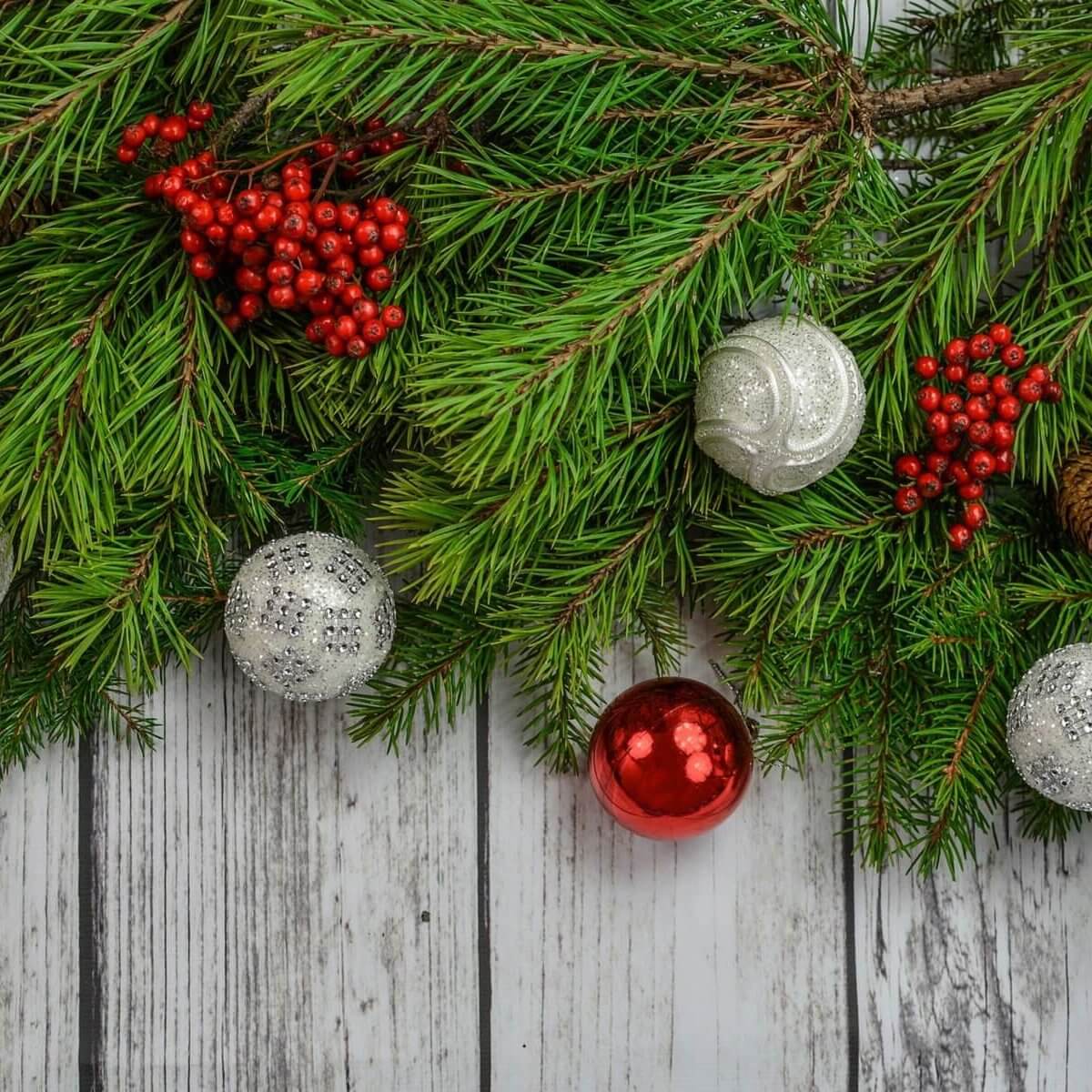 Christmas Tree Wallpaper