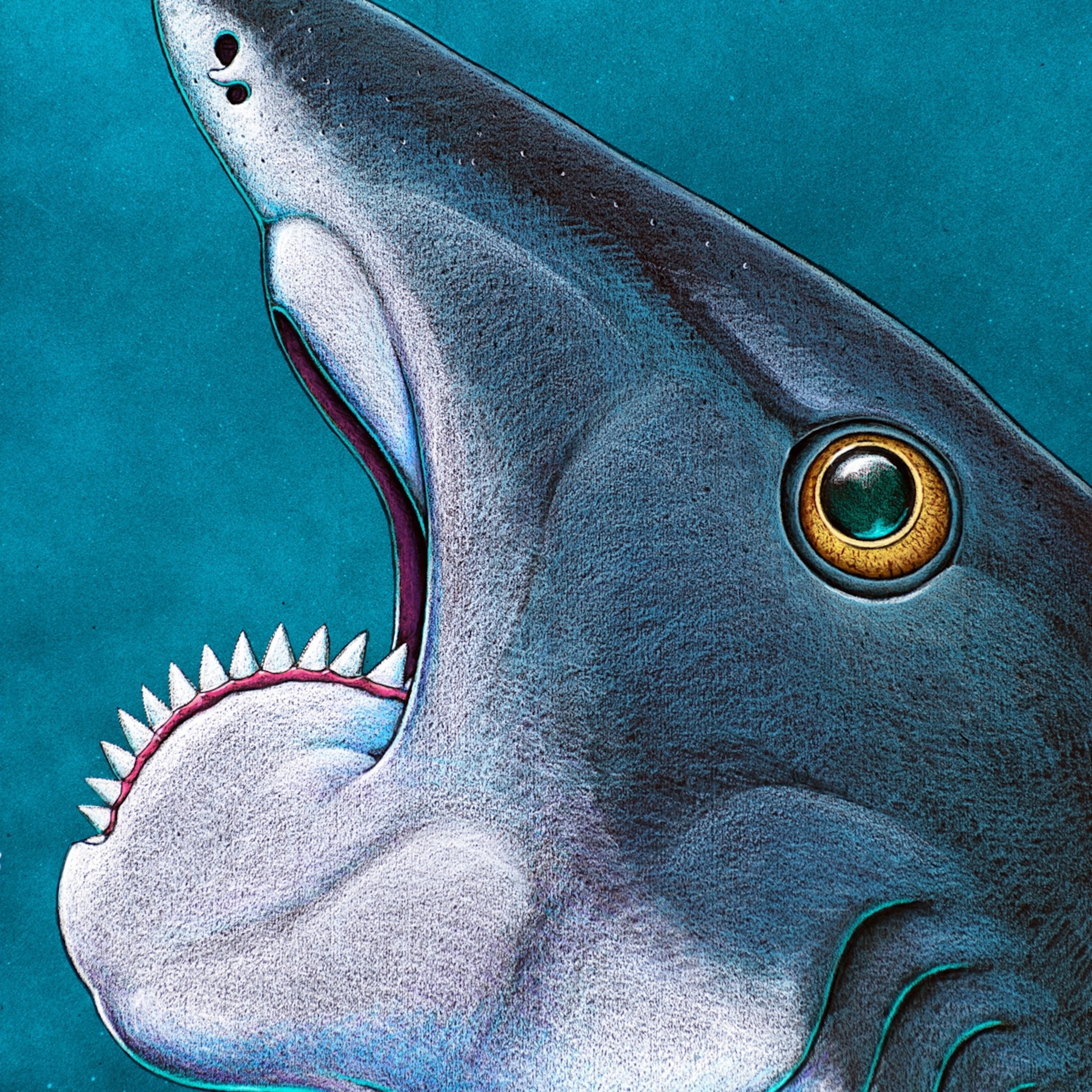 Buzzsaw Jaw Helicoprion Was a Freaky Ratfish