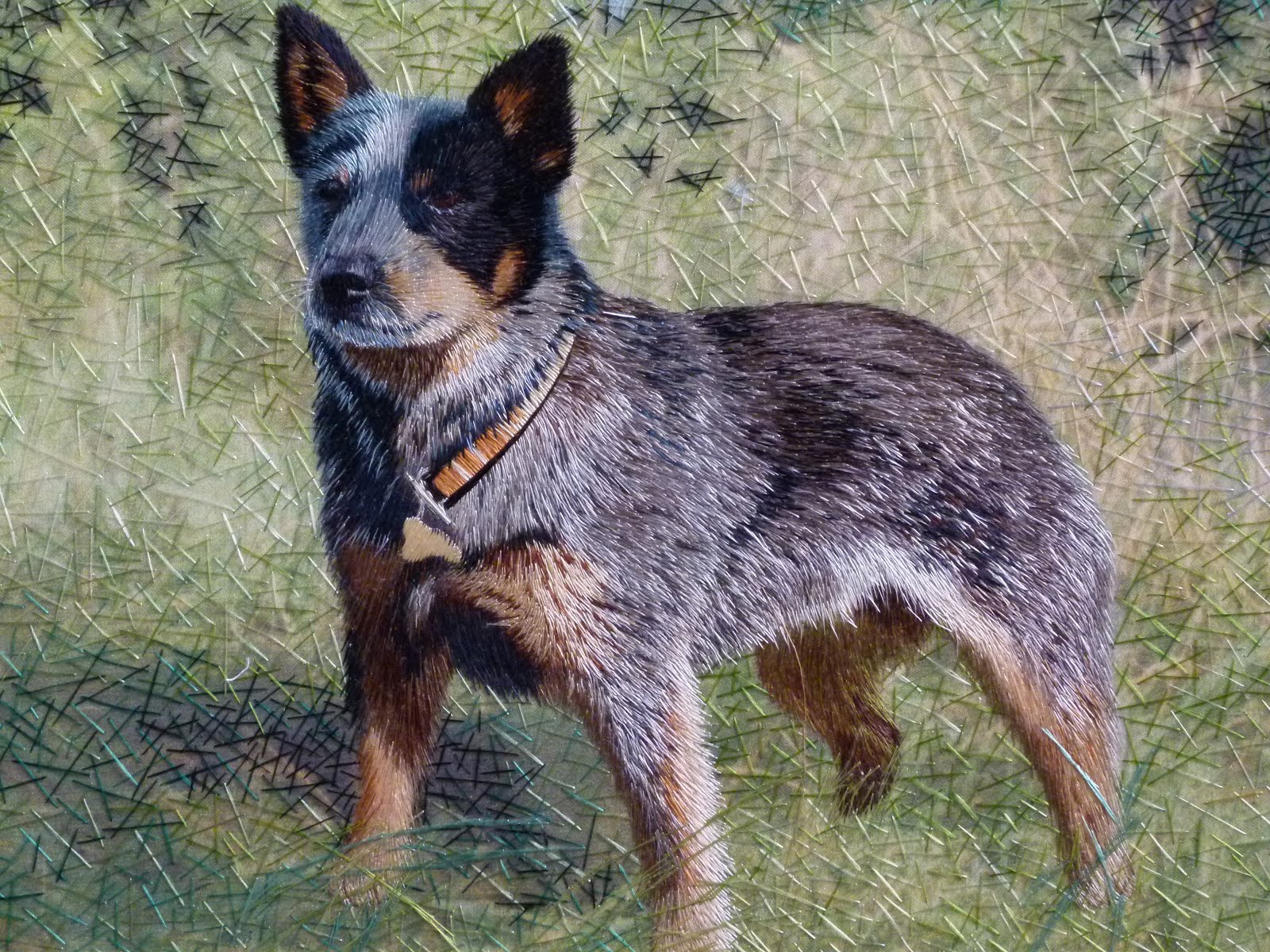 can a australian cattle dog live in south africa