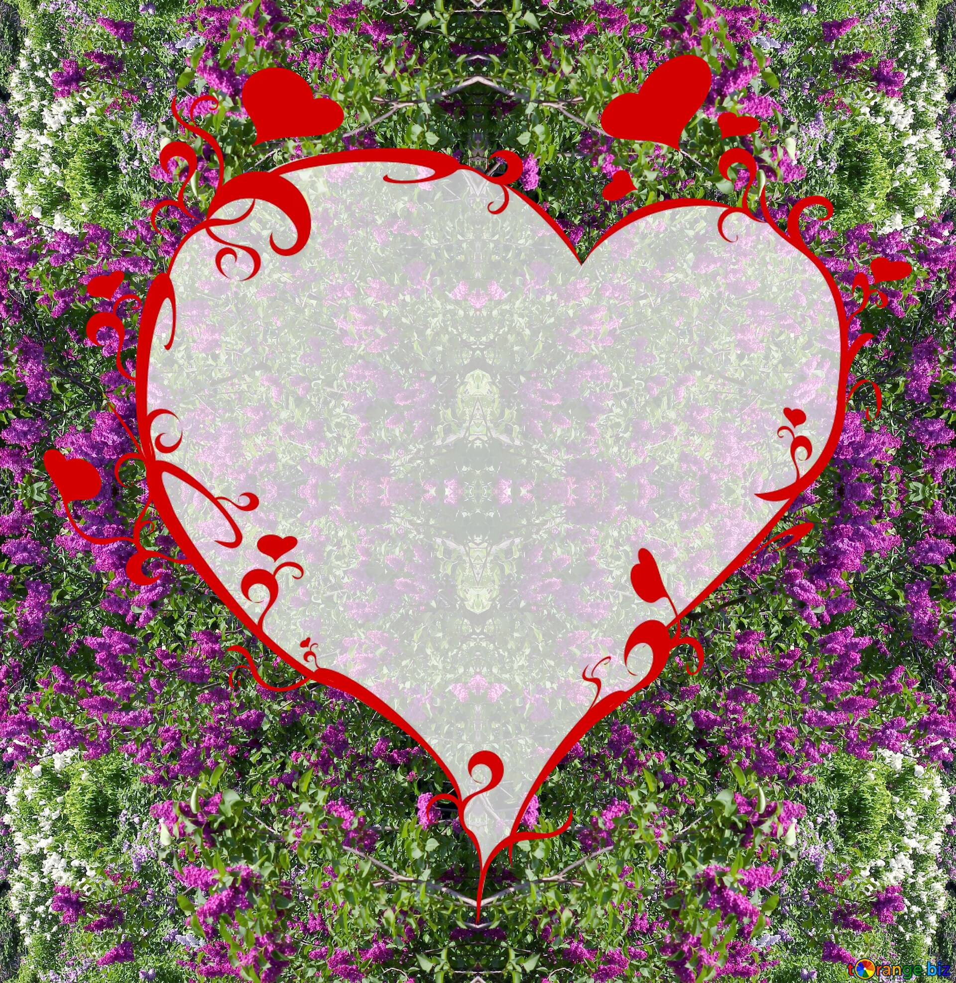 Download Free Picture Flower Heart Frame On CC BY License Free Image Stock TOrange.biz Fx №19869