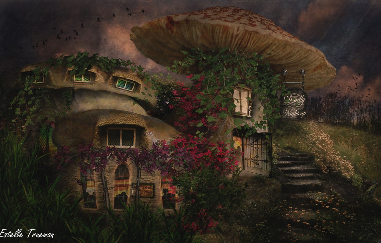 Wallpaper mushrooms, mushroom, houses image for desktop, section рендеринг