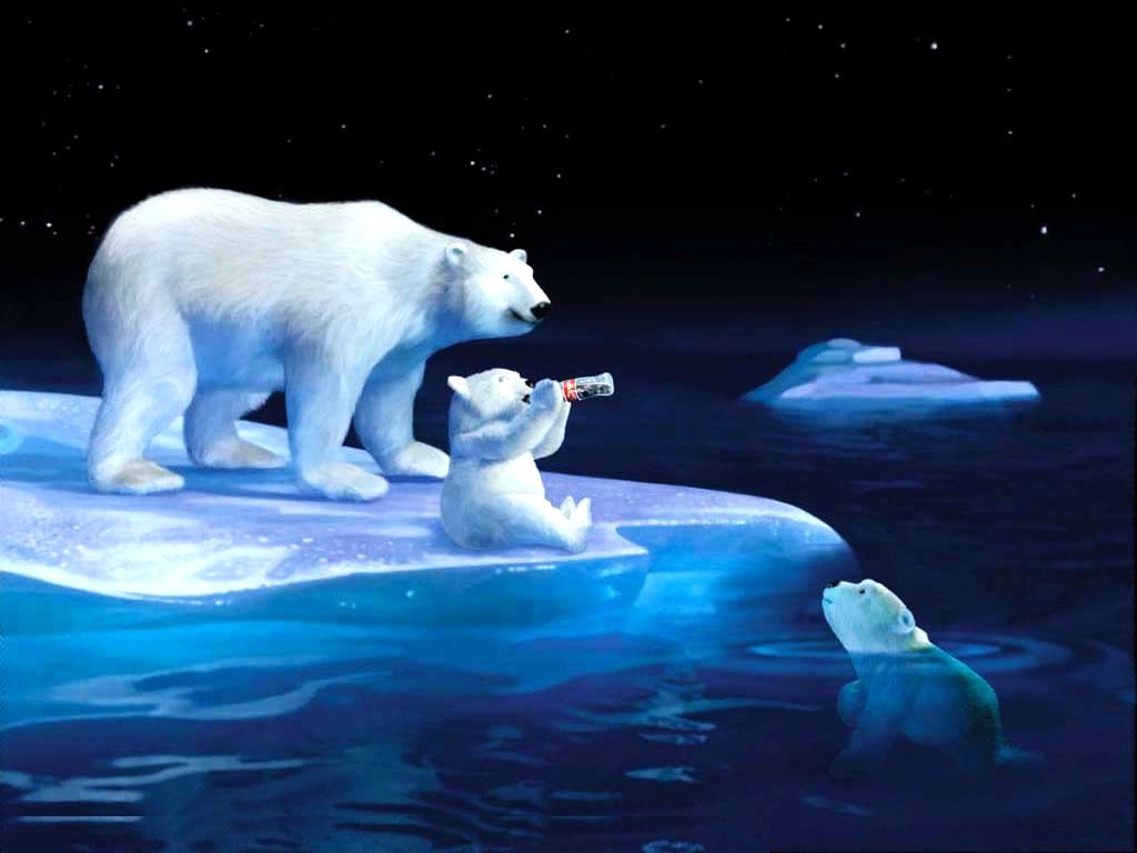 Bear Winter Snow Cute Wallpaper and Picture. Imageize: 56 kilobyte