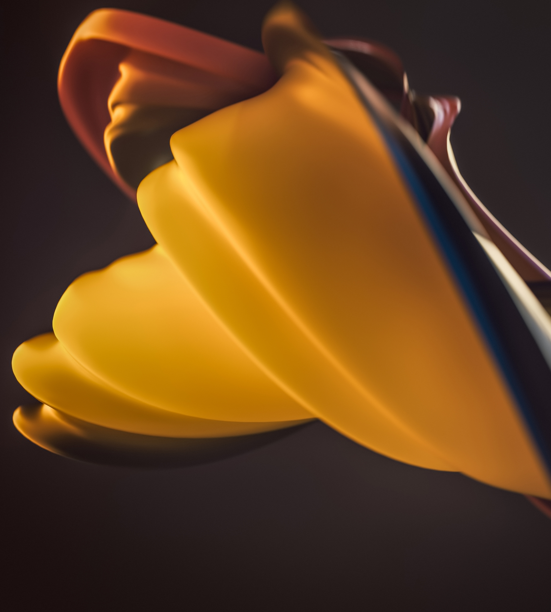 Motorola Edge X30 wallpaper