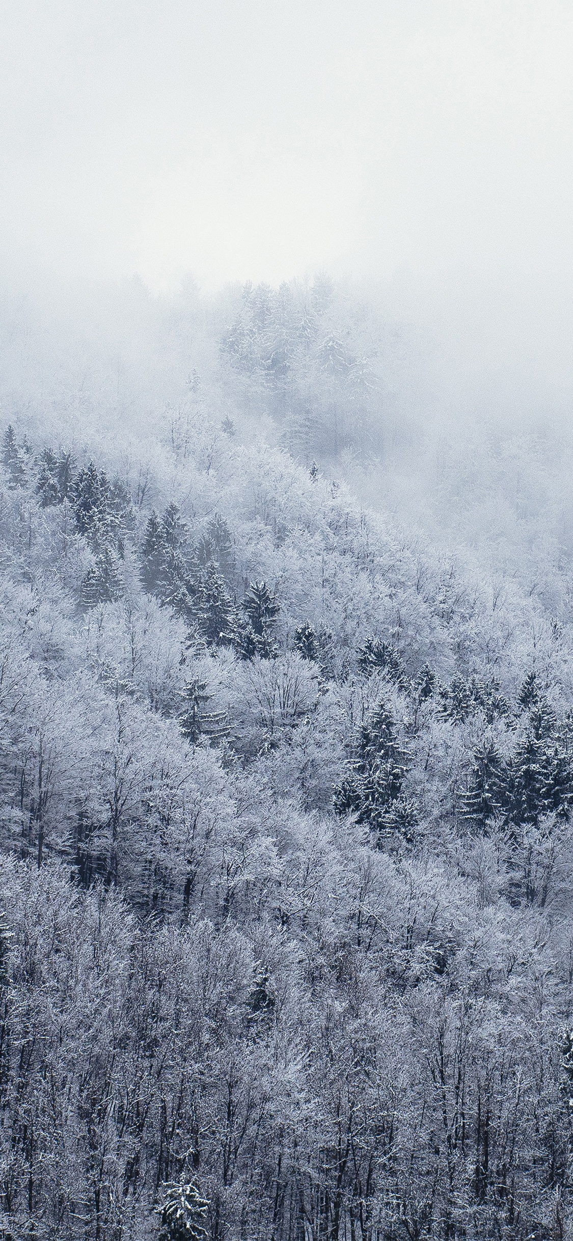 iPhone X wallpaper. mountain wood winter christmas white