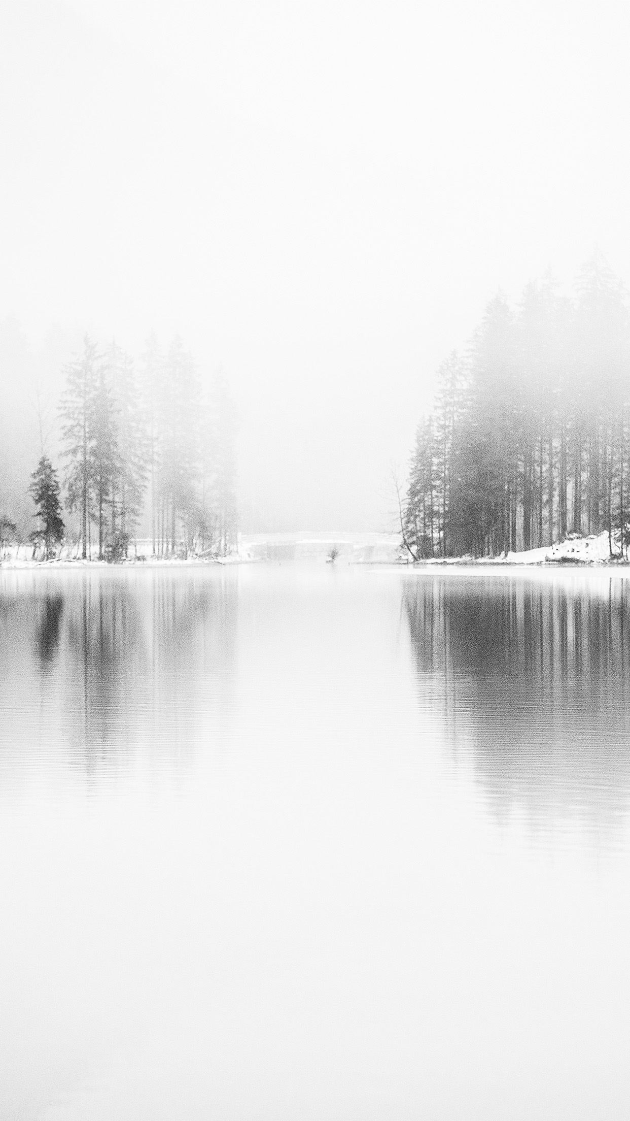 iPhone X wallpaper. winter lake white bw wood nature fog