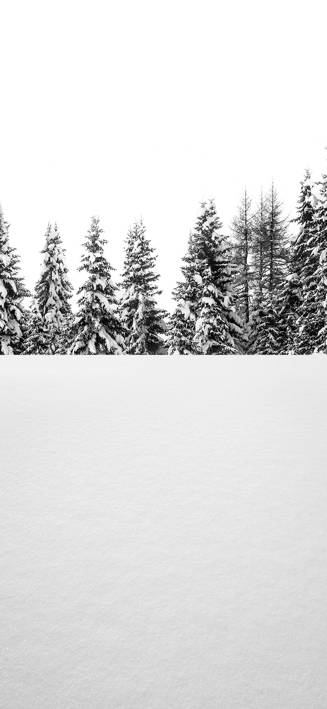 iPhone X wallpaper. snow tree winter white nature