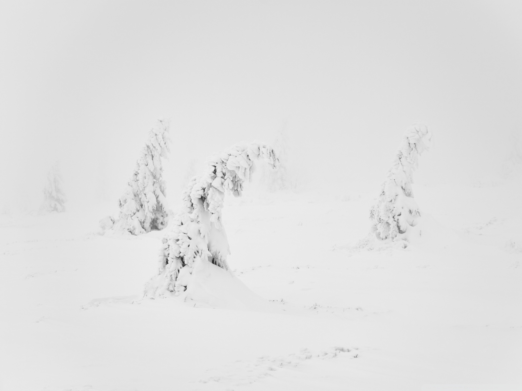 Winter White Snow Aesthetic Ultra HD Desktop Background Wallpaper for 4K UHD TV, Widescreen & UltraWide Desktop & Laptop, Multi Display, Dual Monitor, Tablet