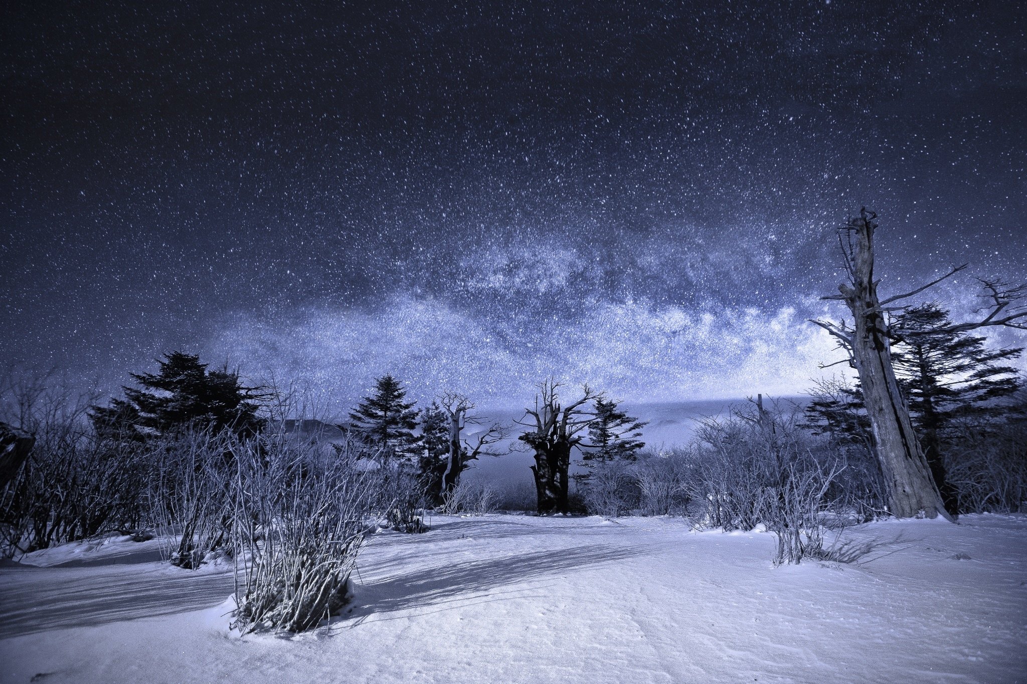 nature, Sky, Night, Stars, Landscape, Snow, Winter Wallpaper HD / Desktop and Mobile Background