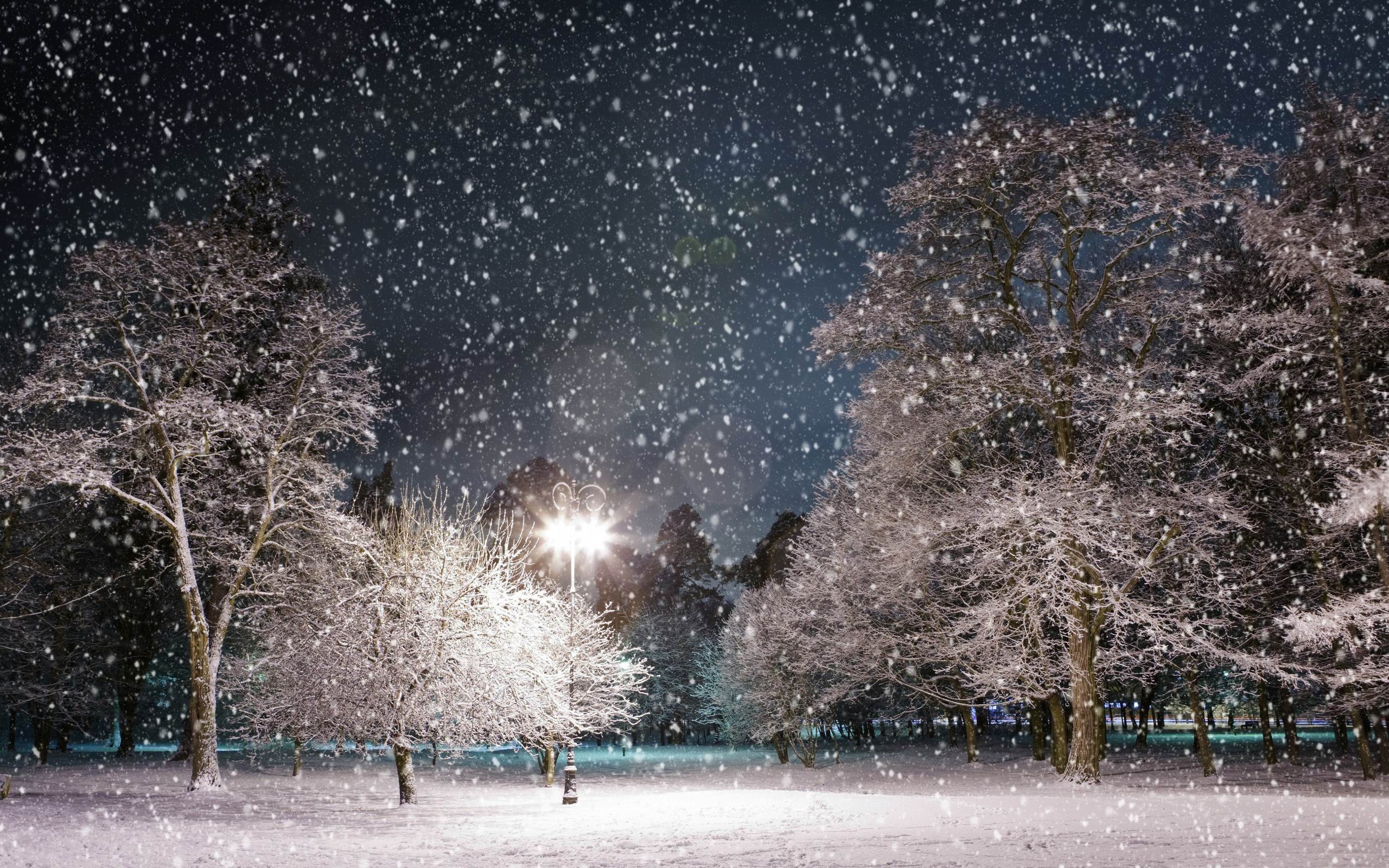 Winter Night Winter Landscape Desktop Wallpaper