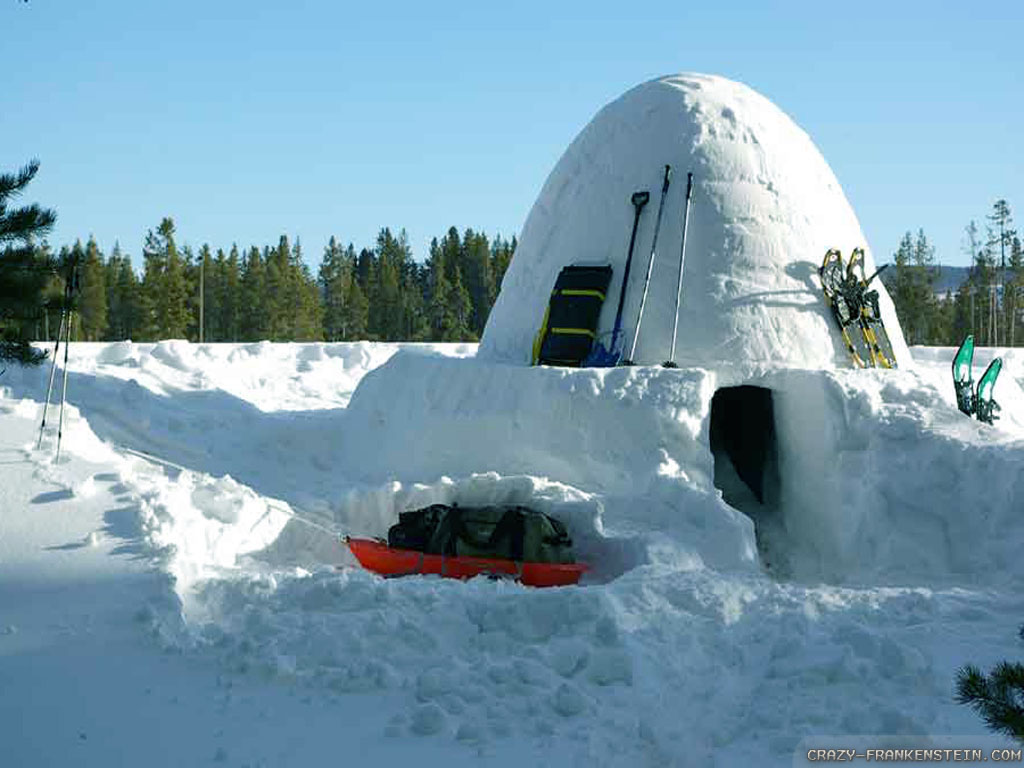 Free download Wallpaper Winter Camping wallpaper [1024x768] for your Desktop, Mobile & Tablet. Explore Free Camping Desktop Wallpaper. Camping Wallpaper, Free Camping Wallpaper Background, Camping HD Wallpaper