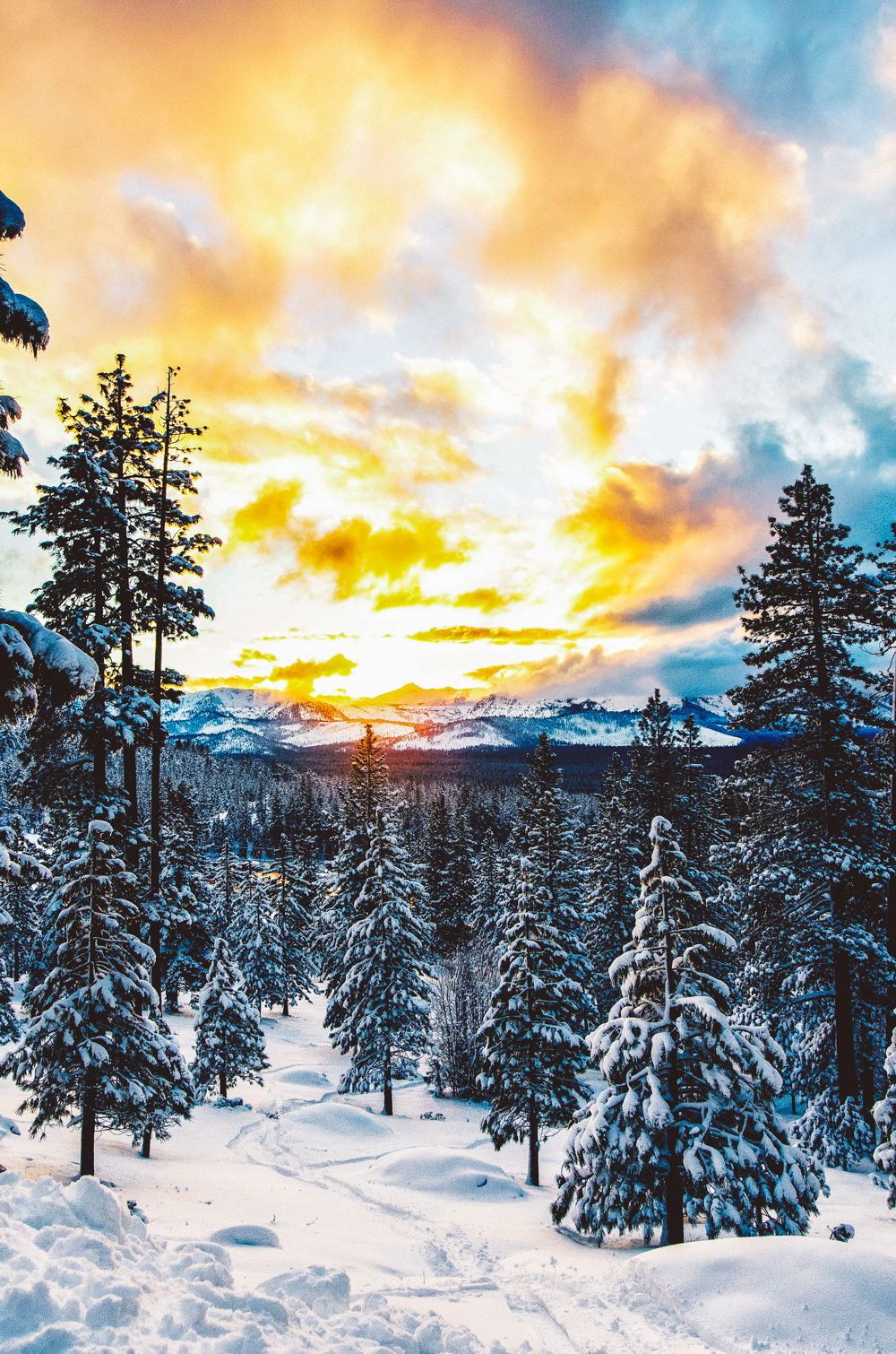 EPIC Lake Tahoe Winter Activities (That Are NOT Skiing!). Lake tahoe winter, Tahoe winter, Tahoe snow