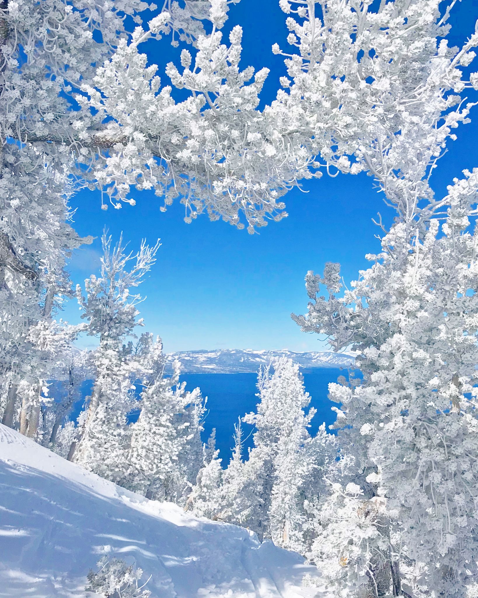 These People Left The Bay Area For Tahoe. What's It Like Living In A Vacation Hub Full Time?