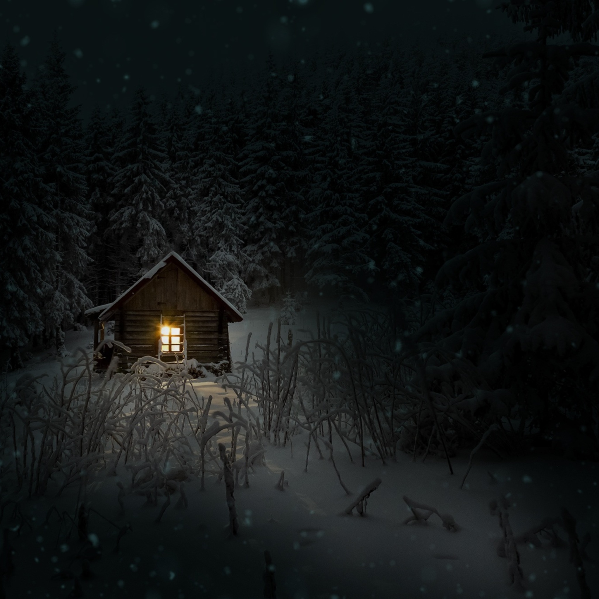 House In Woods Winter Cold iPad Air HD 4k Wallpaper, Image, Background, Photo and Picture