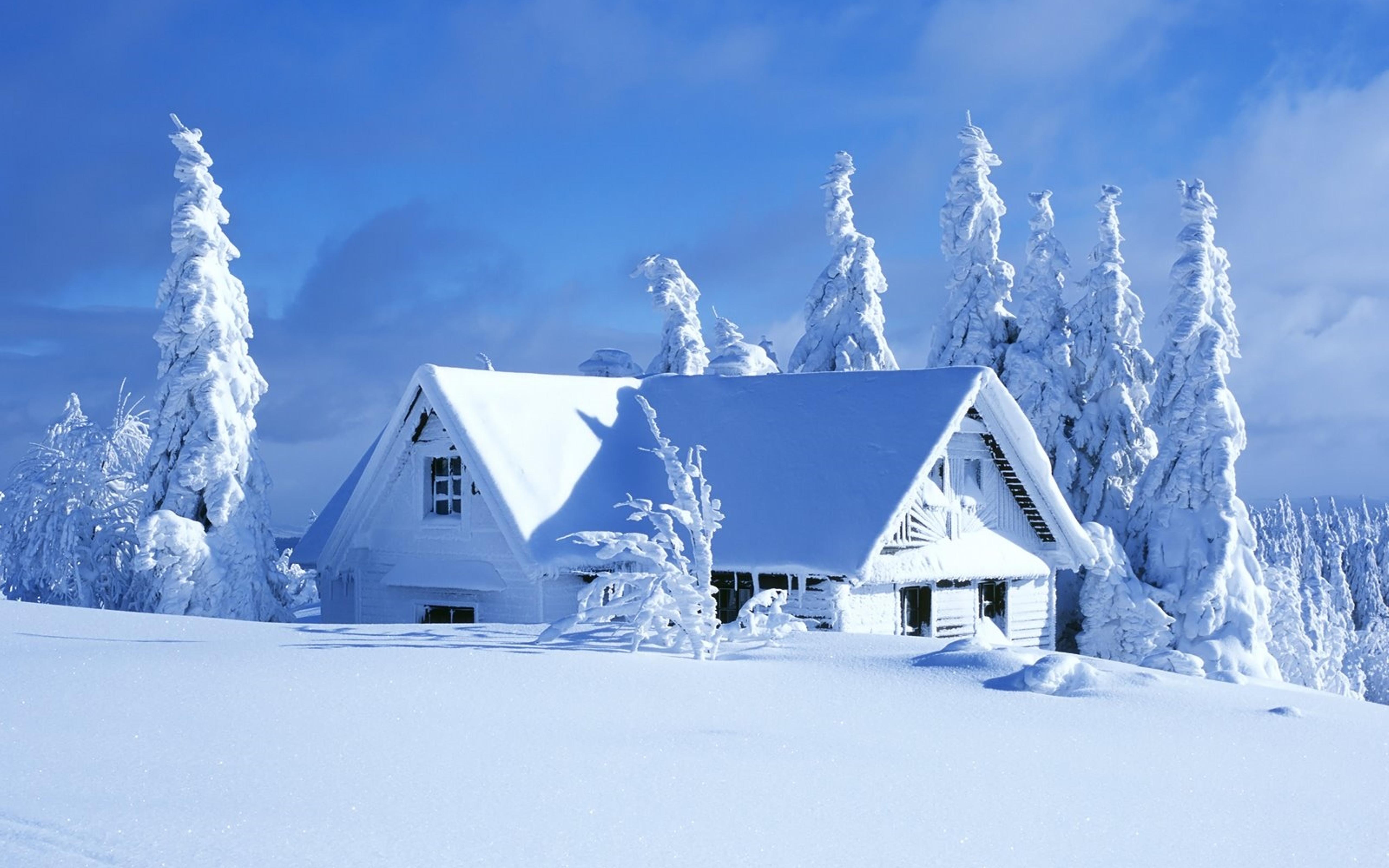 White house in a beautiful white winter season -HD Wallpaper