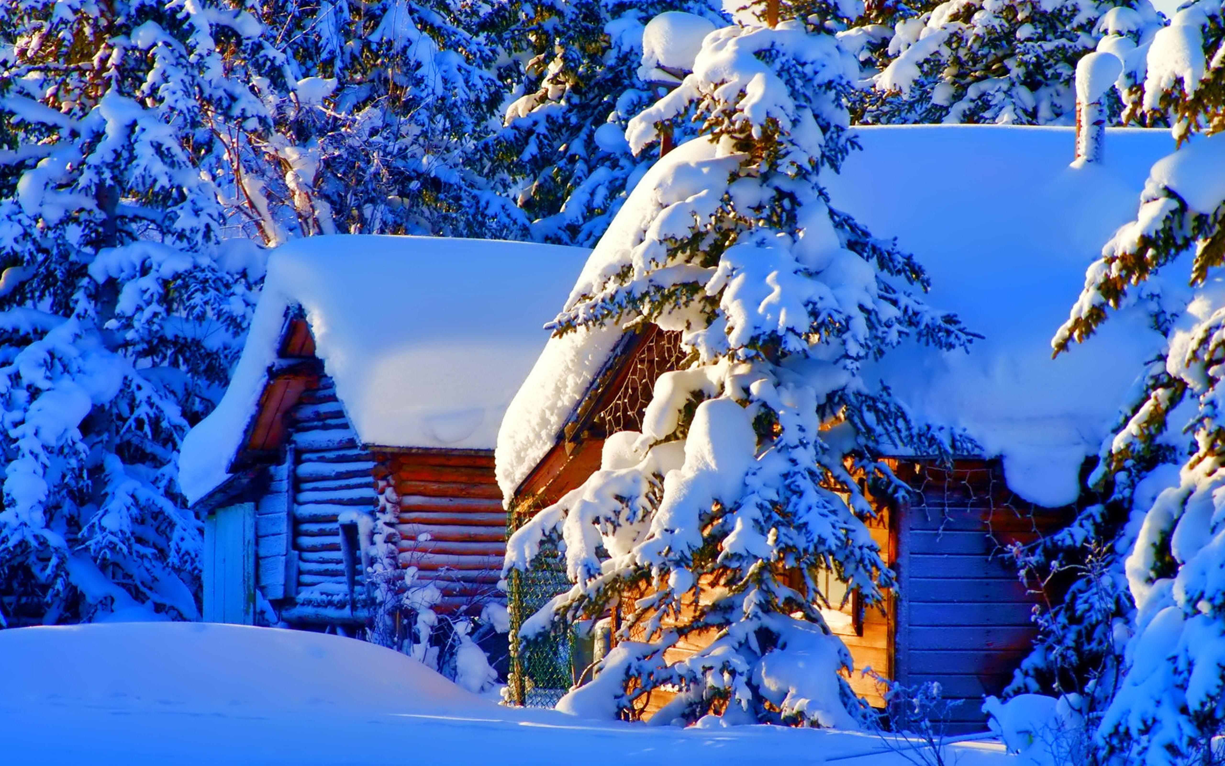 Wood cottage full with snow winter season