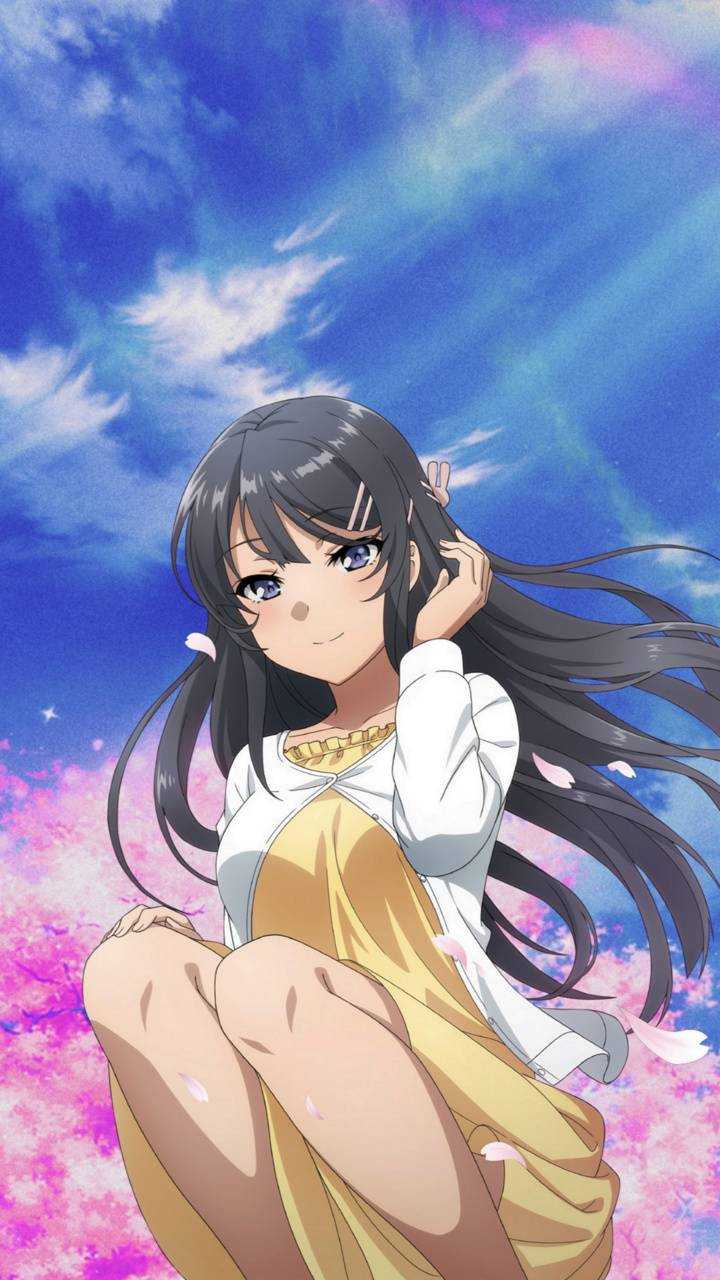 Mai Sakurajima Wallpaper Free HD Wallpaper