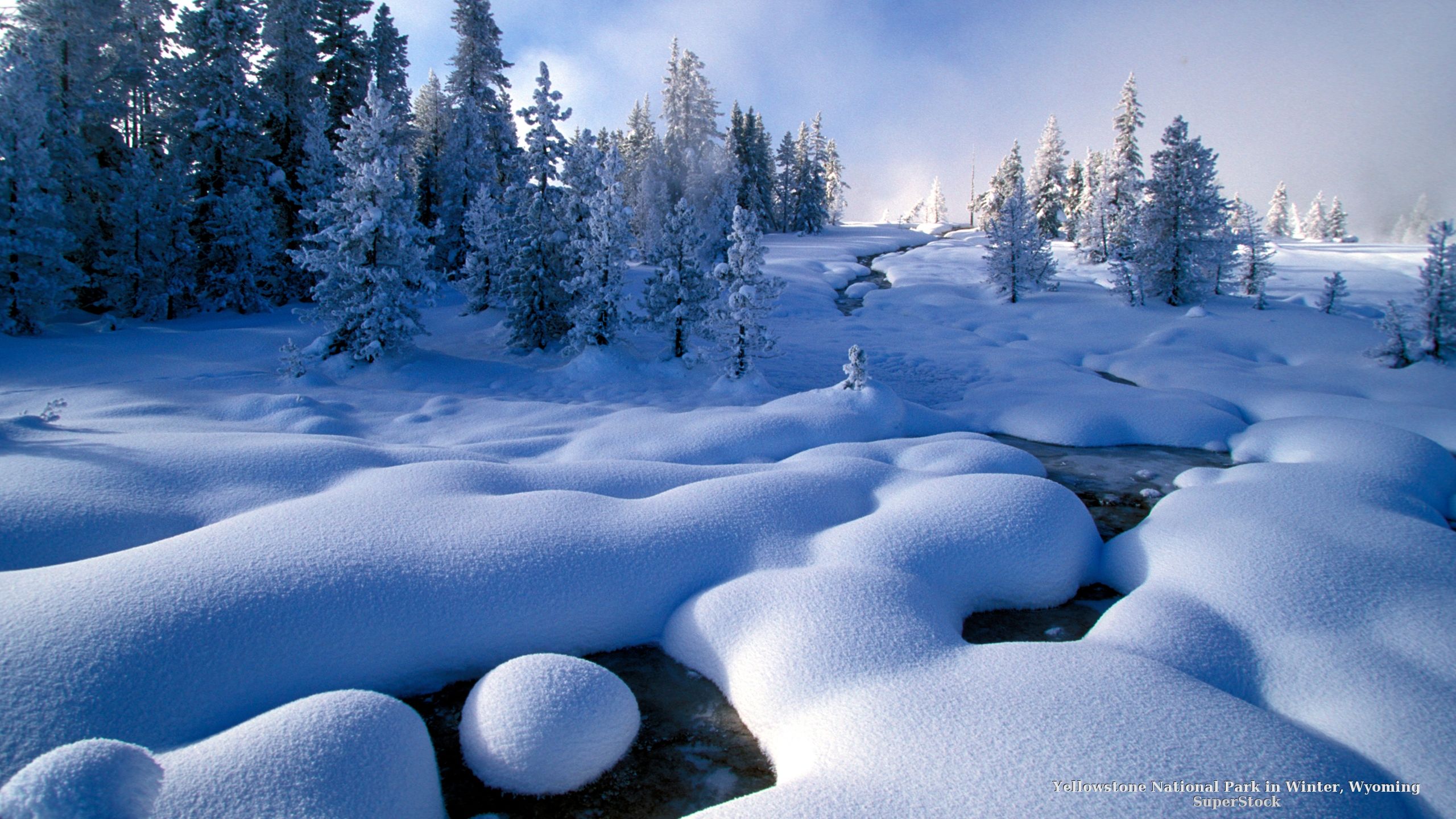 Yellowstone National Park in Winter, Wyoming. National parks, Yellowstone national park, National park photo