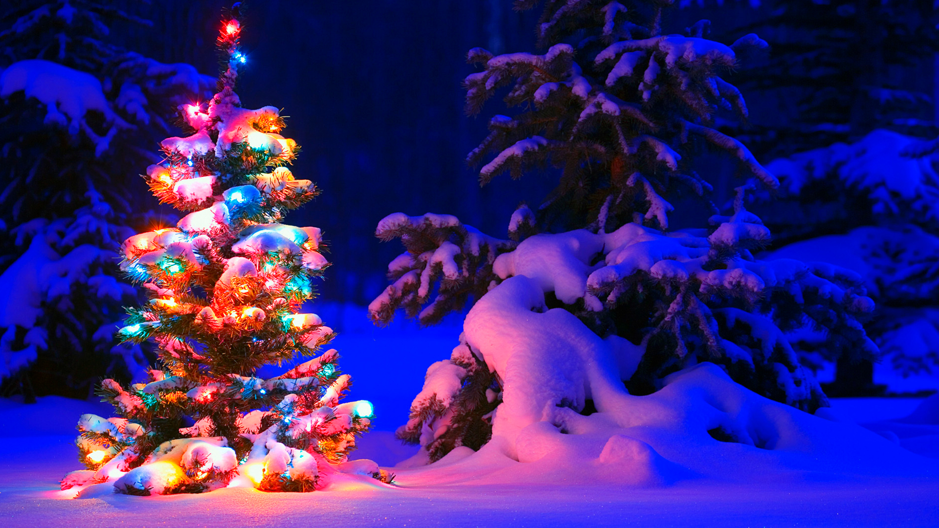 Desktop Christmas Tree Wallpapers - Wallpaper Cave