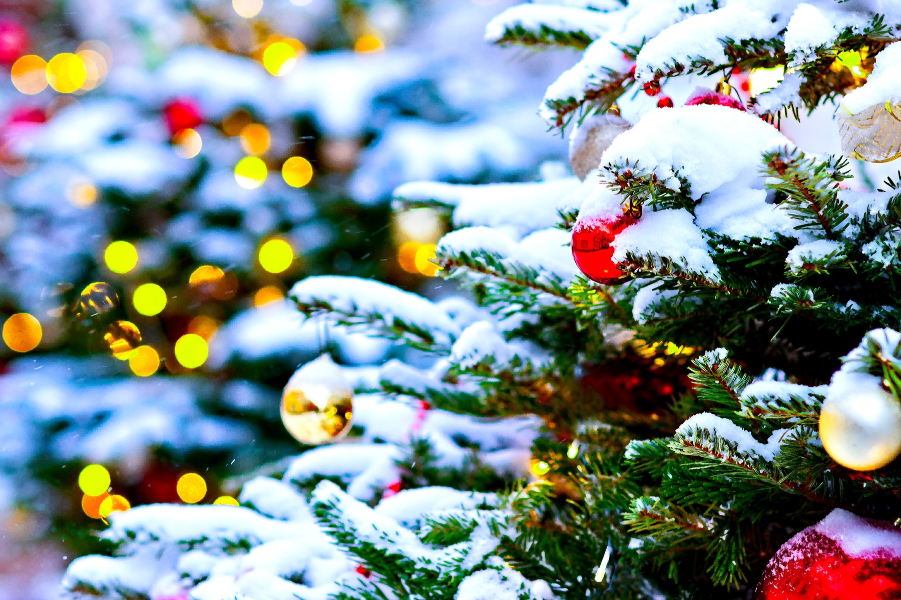 Buy Decorated Christmas Tree Snow wallpaper