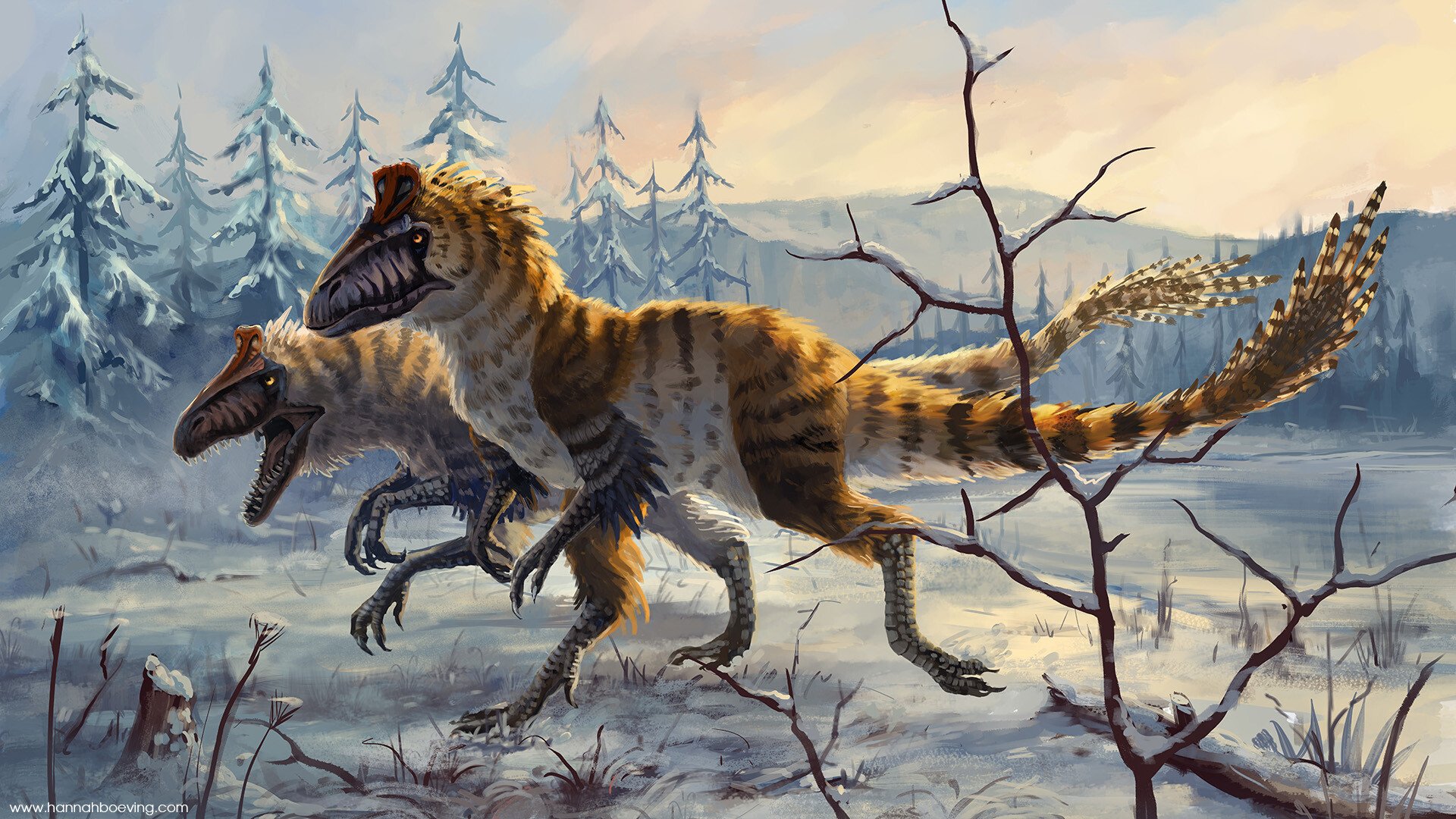 Cryolophosaurus, Hannah Böving