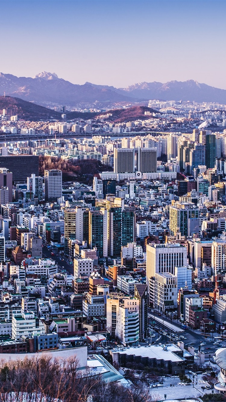 Korea Seoul City 750x1334 IPhone 8 7 6 6S Wallpaper, Background, Picture, Image