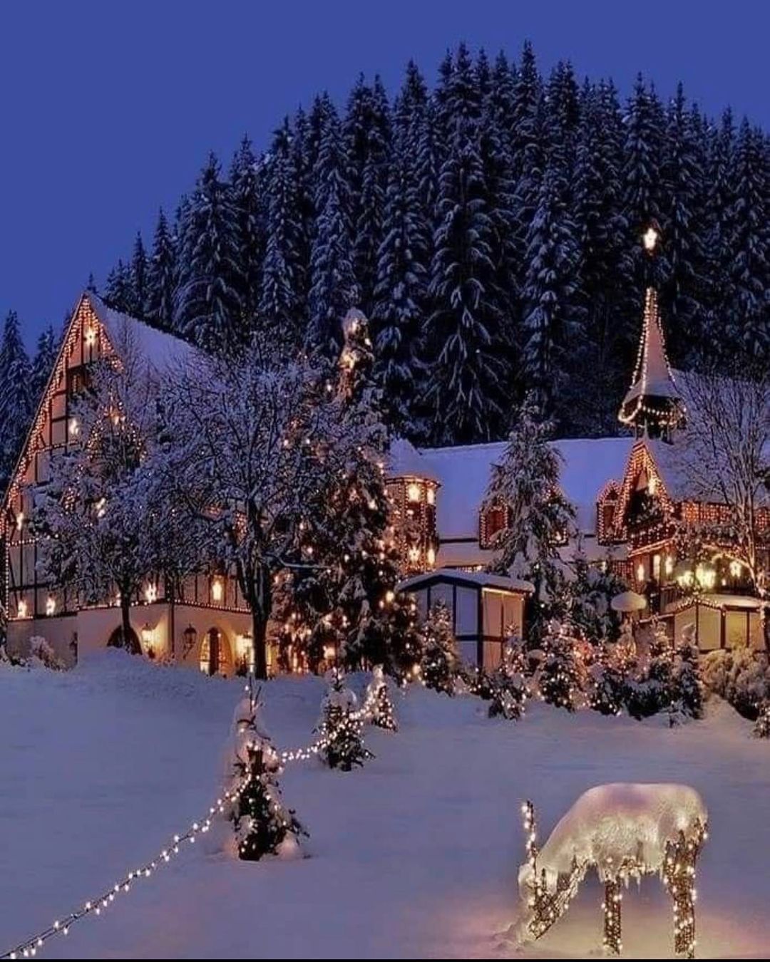 Snow Lights :) Ideas. Christmas Lights, Winter Christmas, Christmas Time