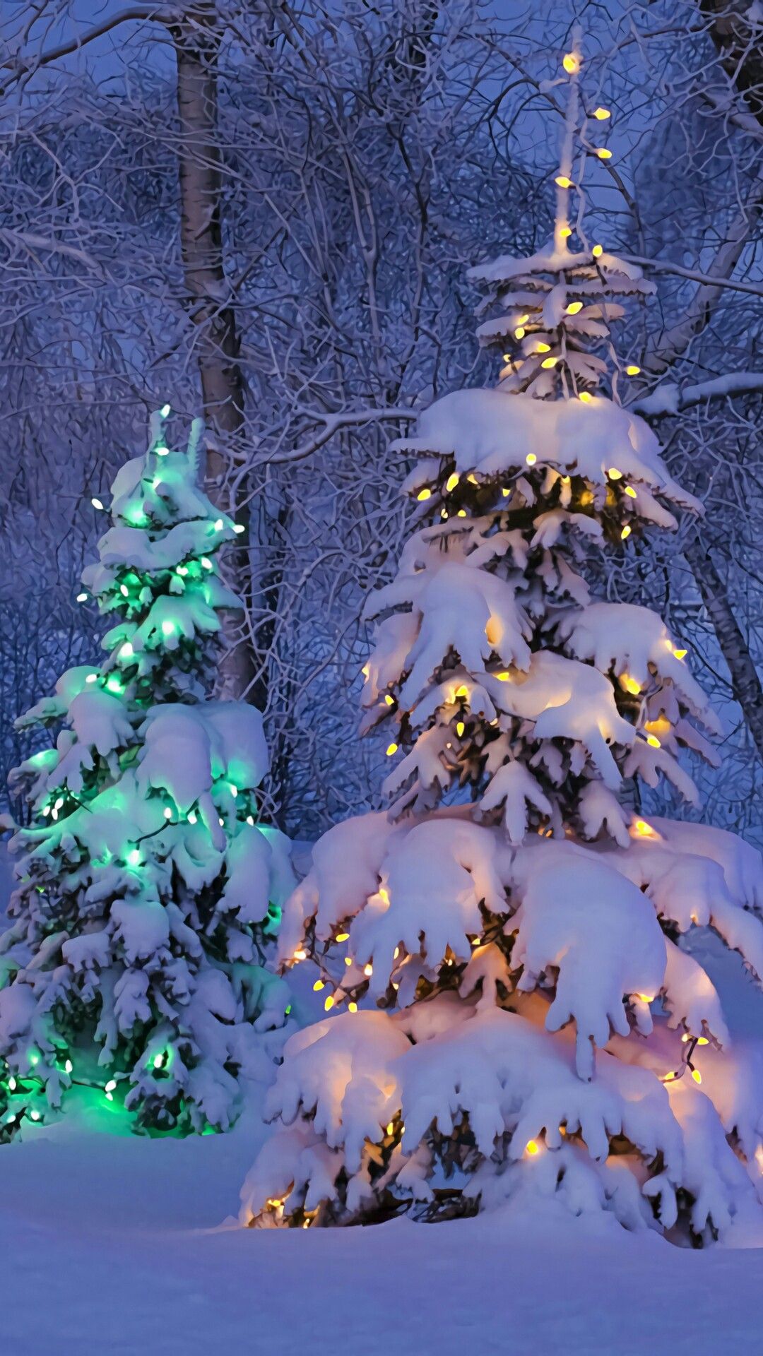 CELL PHONE WALLPAPER BACKGROUND. Christmas scenery, Christmas phone wallpaper, Christmas lights