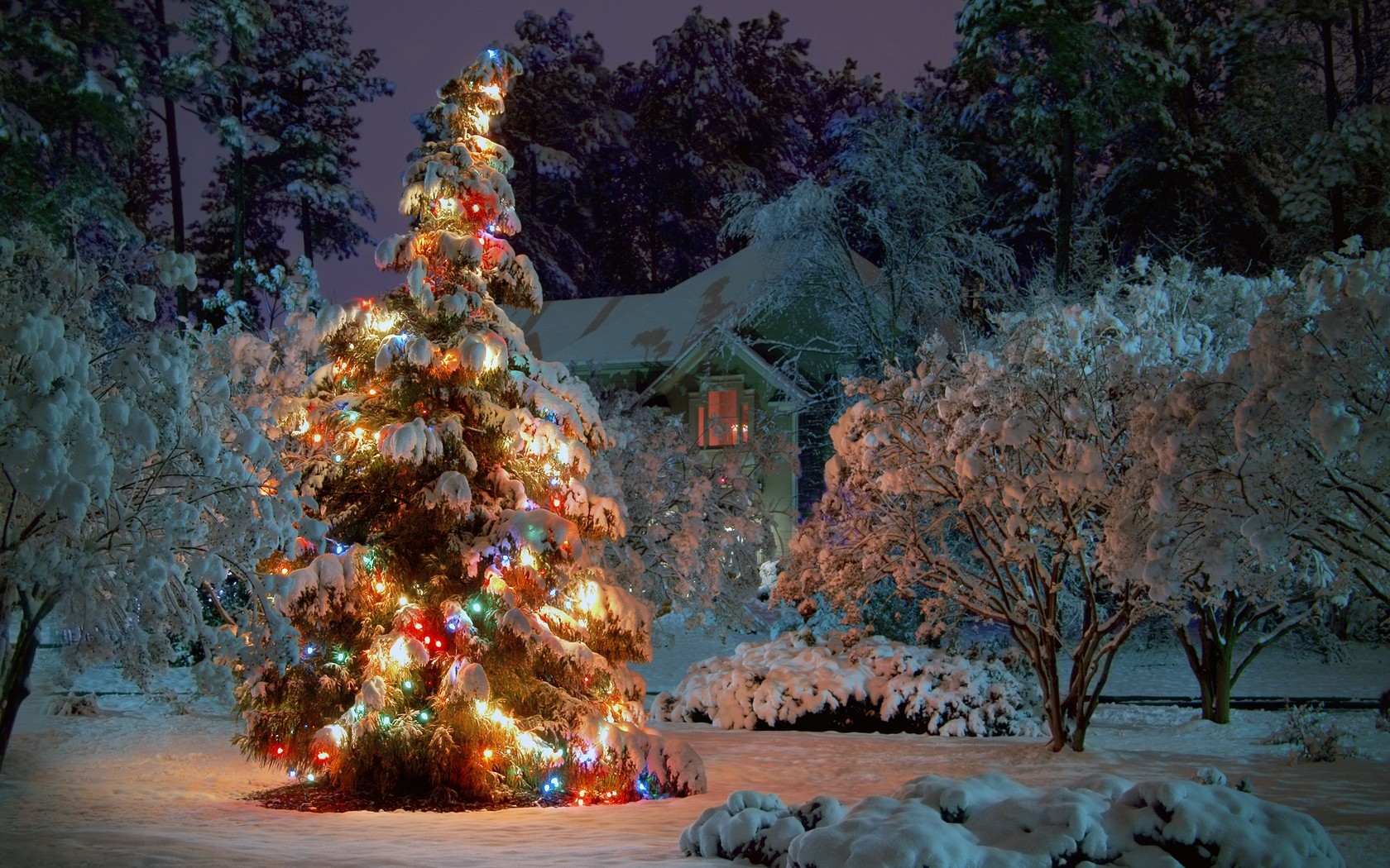 nature winter snow trees houses christmas holidays christmas lights christmas tree