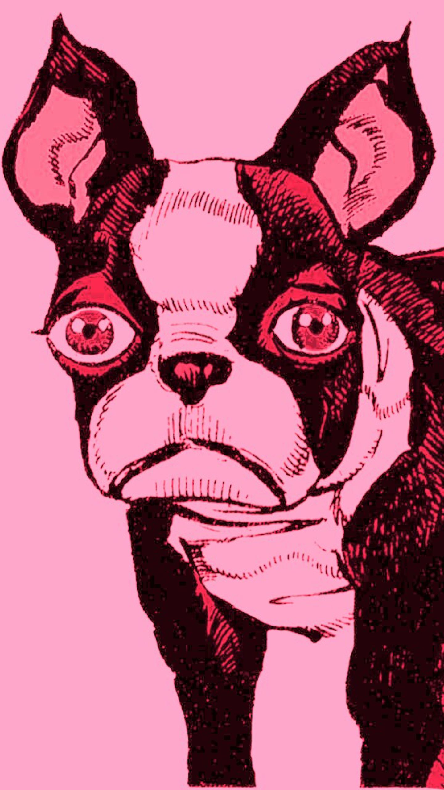 Jojo Phone Wallpaper