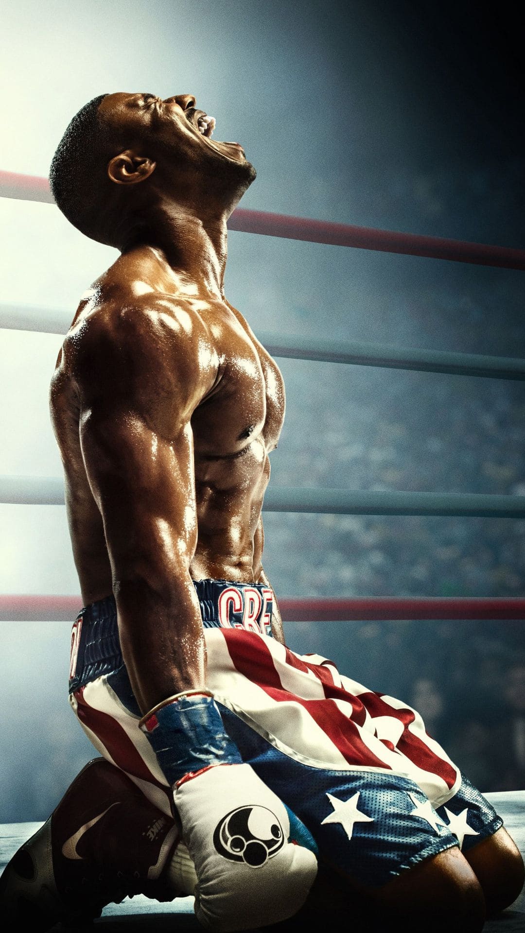 Boxing Wallpaper Best Boxing Background Download [ 35 + HD ]