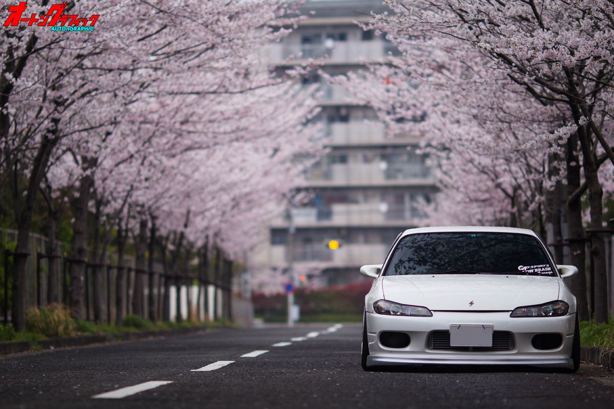 nissan silvia s15 jdm сакура