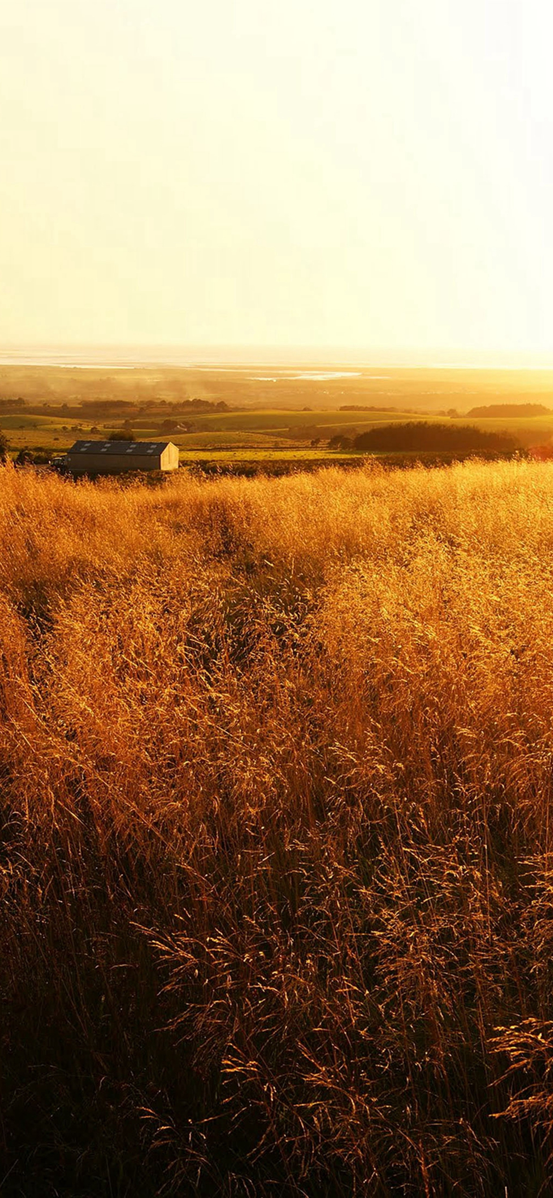 Best Farmland iPhone X HD Wallpaper