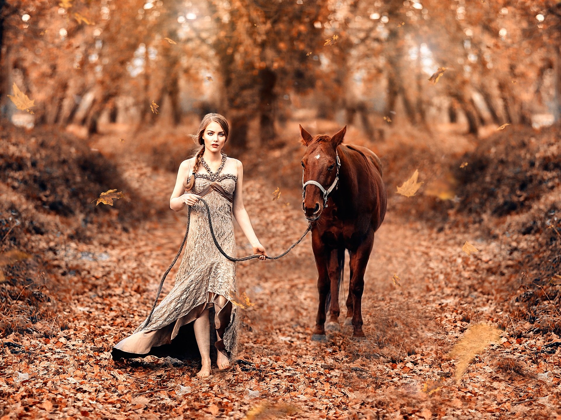 Wallpaper Girl and horse, autumn, forest 1920x1440 HD Picture, Image