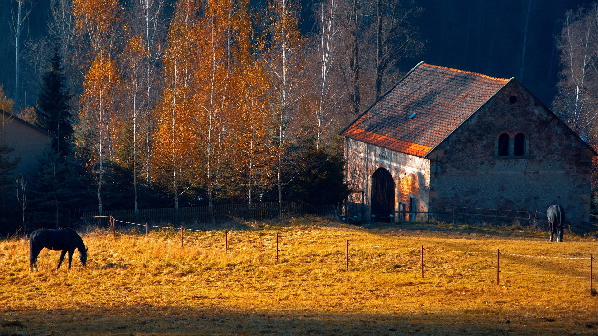 Horses rustic farm barn landscapes buildings autumn fall trees wallpaper
