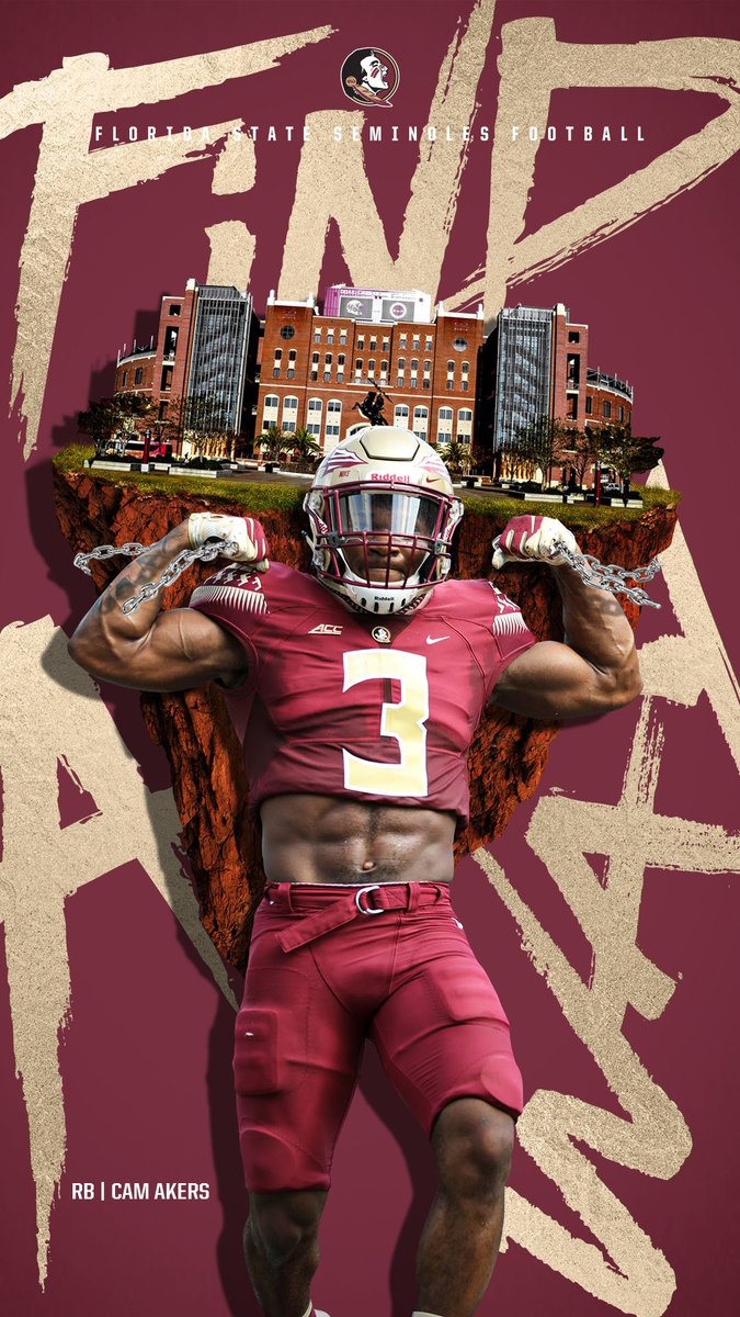 fsu wallpaper, poster, gridiron football, american football, fictional character, magazine, football autographed paraphernalia, super bowl, sports gear, team, action figure