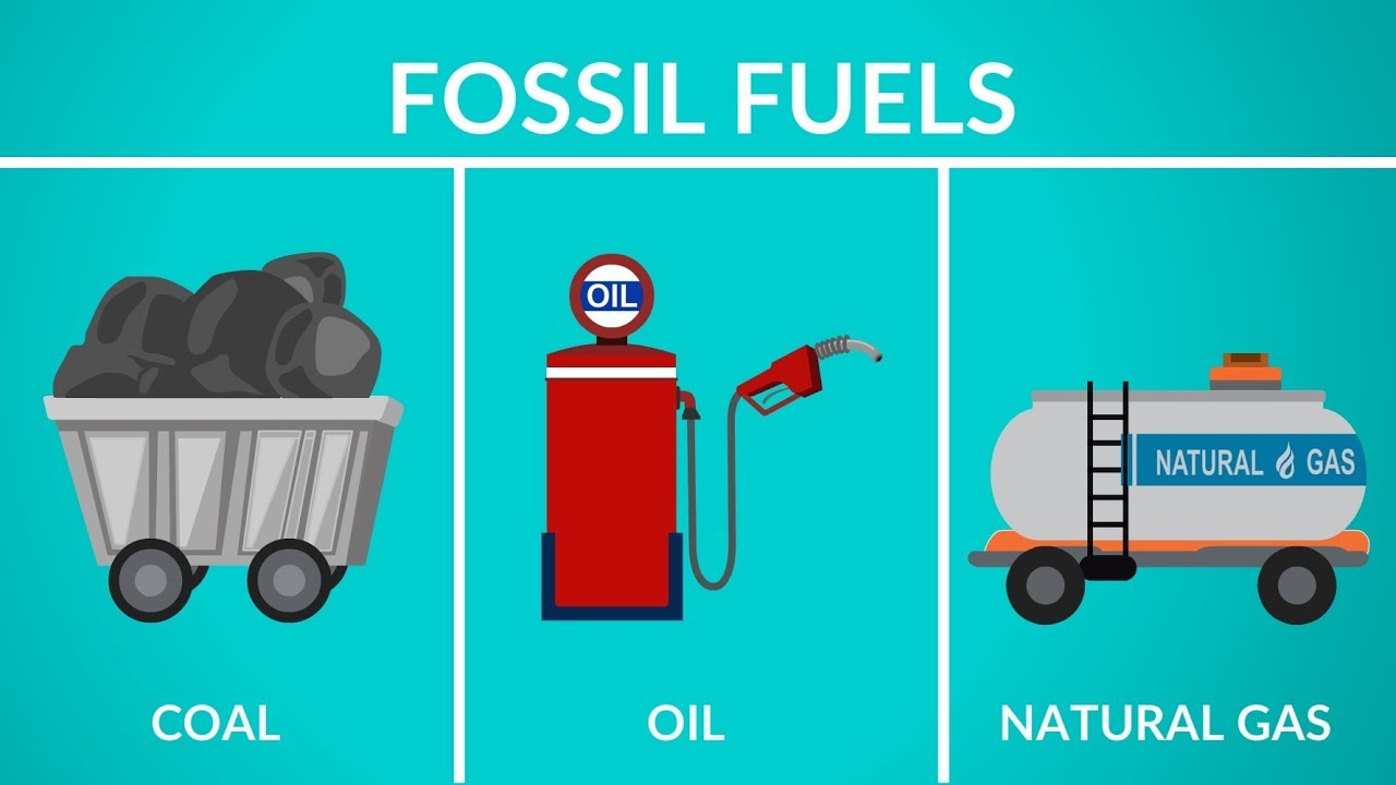 Fossil Fuels. Types and Formation. Video for Kids