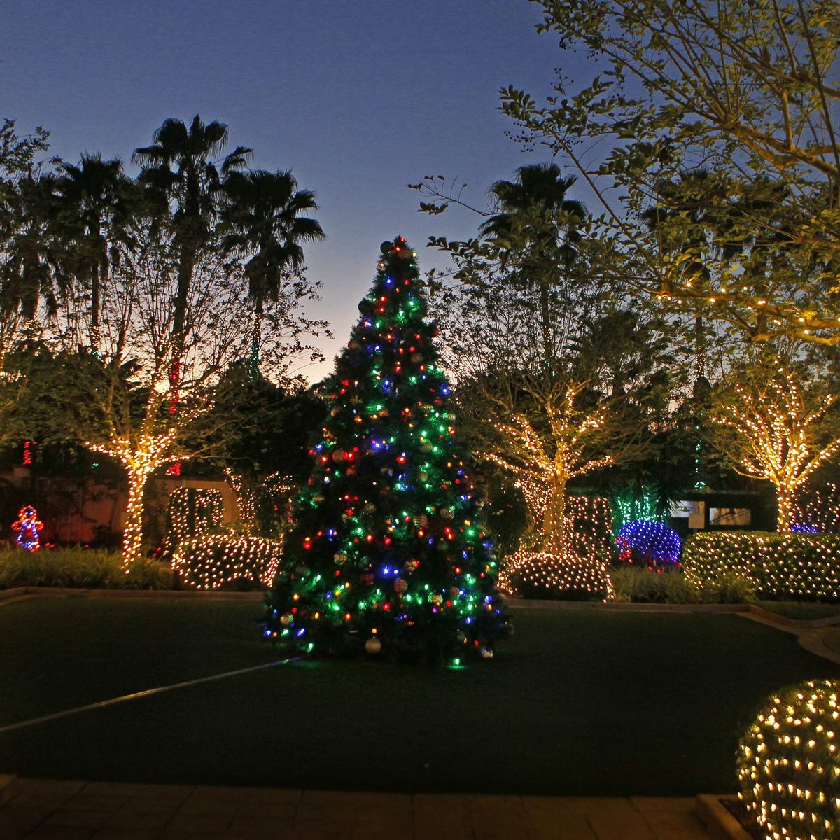 Here's where to see Christmas lights in Tampa Bay