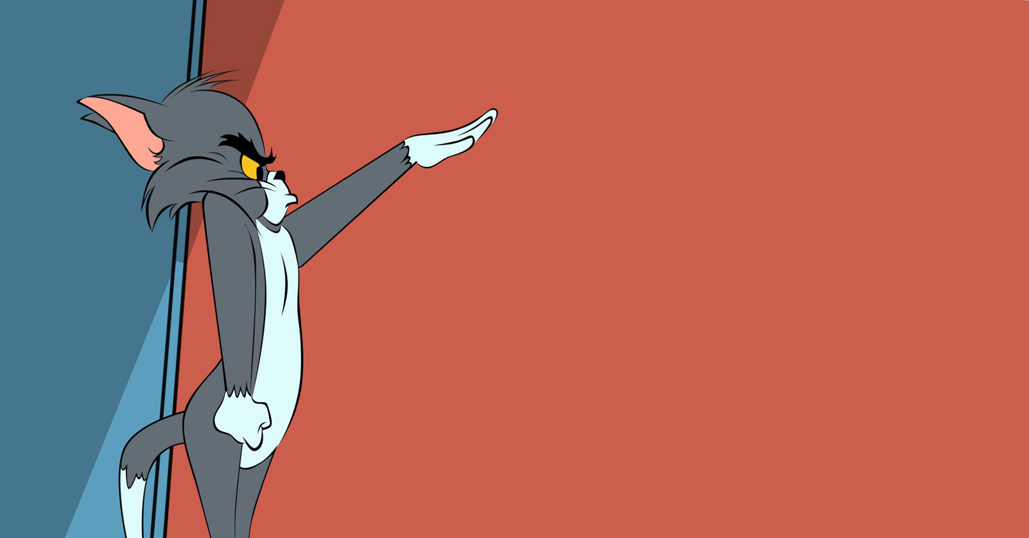 Cartoon Cats Tom And Jerry Wallpaper HD / Desktop and Mobile Background