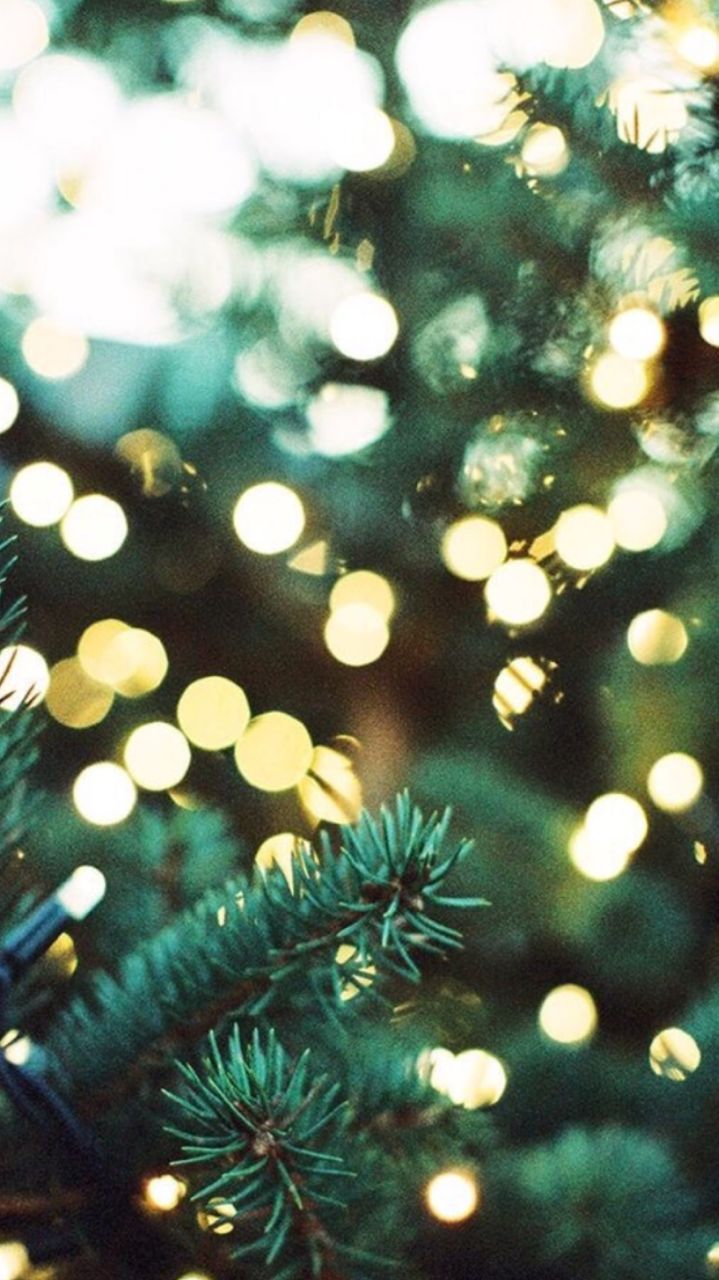 Christmas Green Aesthetic Wallpapers Wallpaper Cave