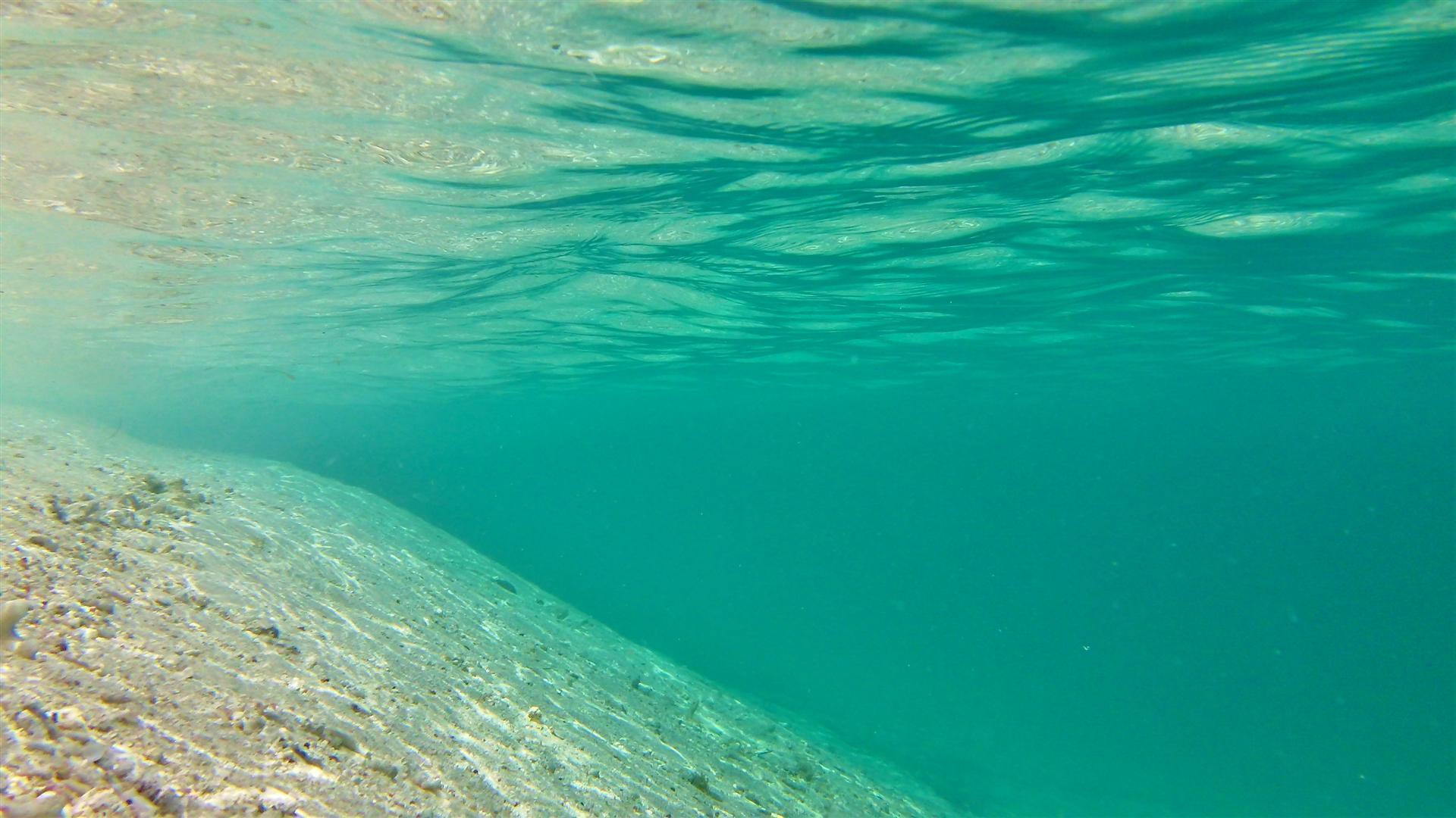 Ocean Floor Wallpaper