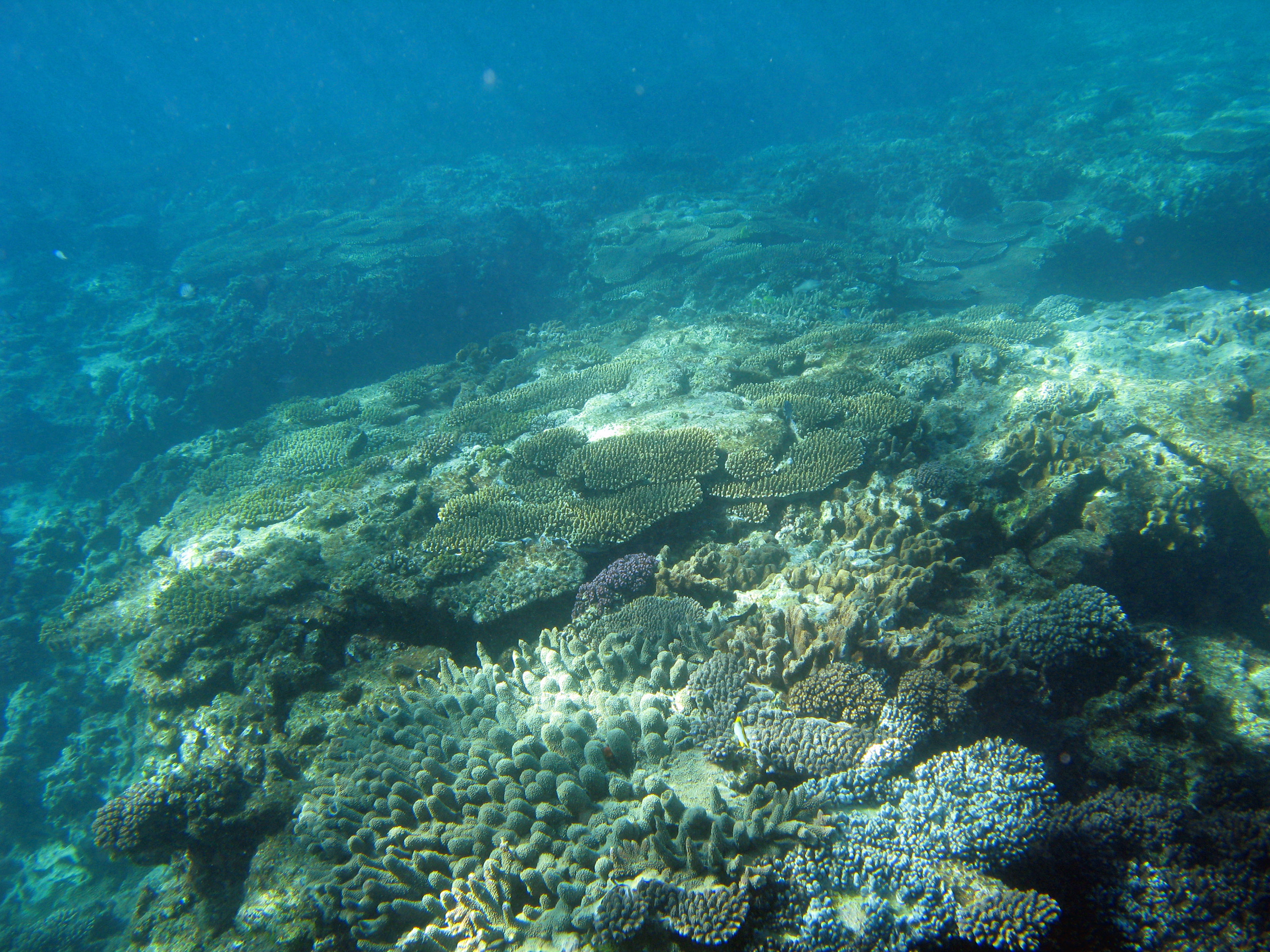 Free download Ocean Floor Wallpaper [3200x2400] for your Desktop, Mobile & Tablet. Explore Ocean Floor Wallpaper. Beautiful Ocean Wallpaper, Ocean Wallpaper HD, Dance Floor Wallpaper